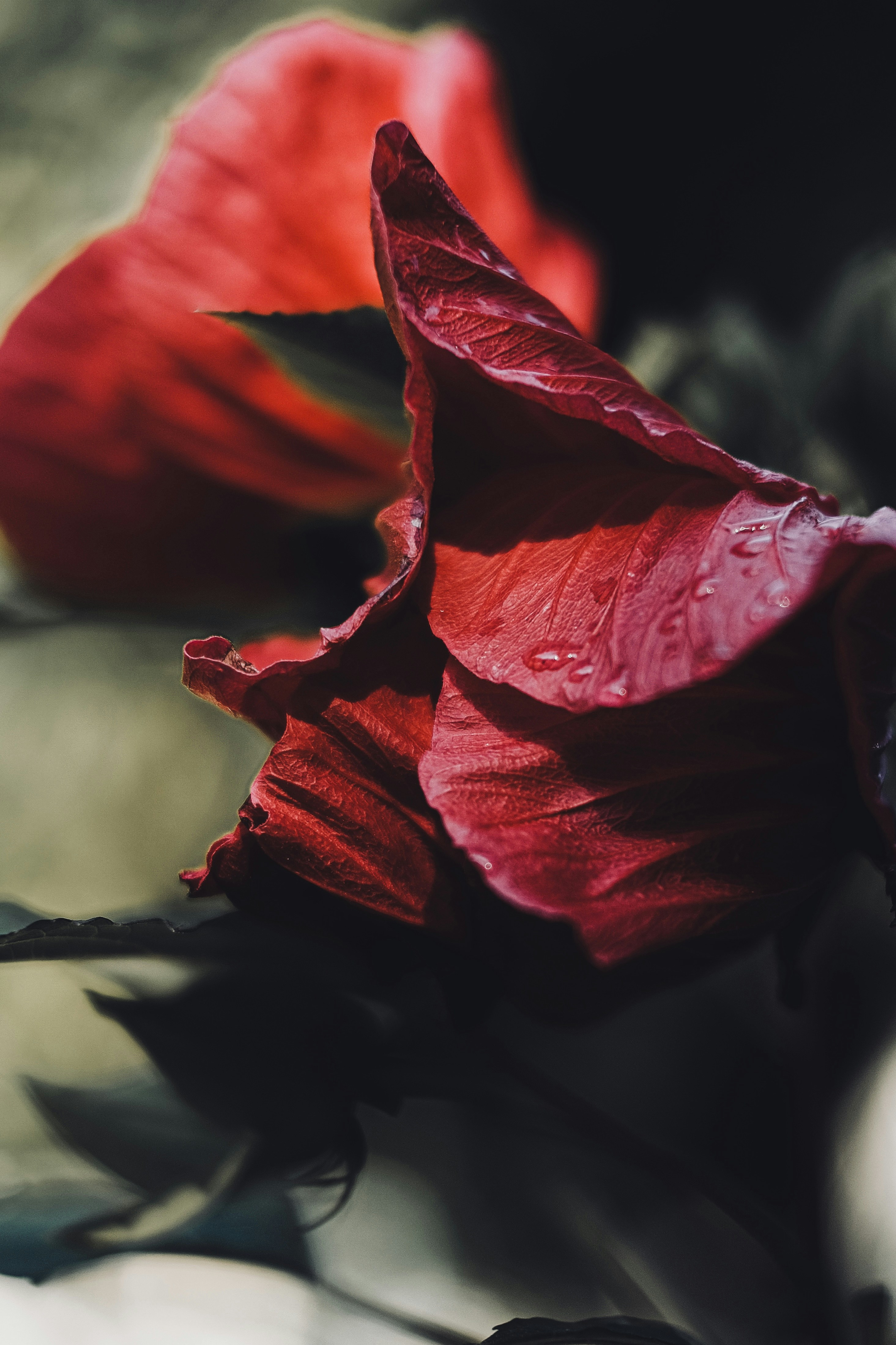 Photo by mkrawczynski