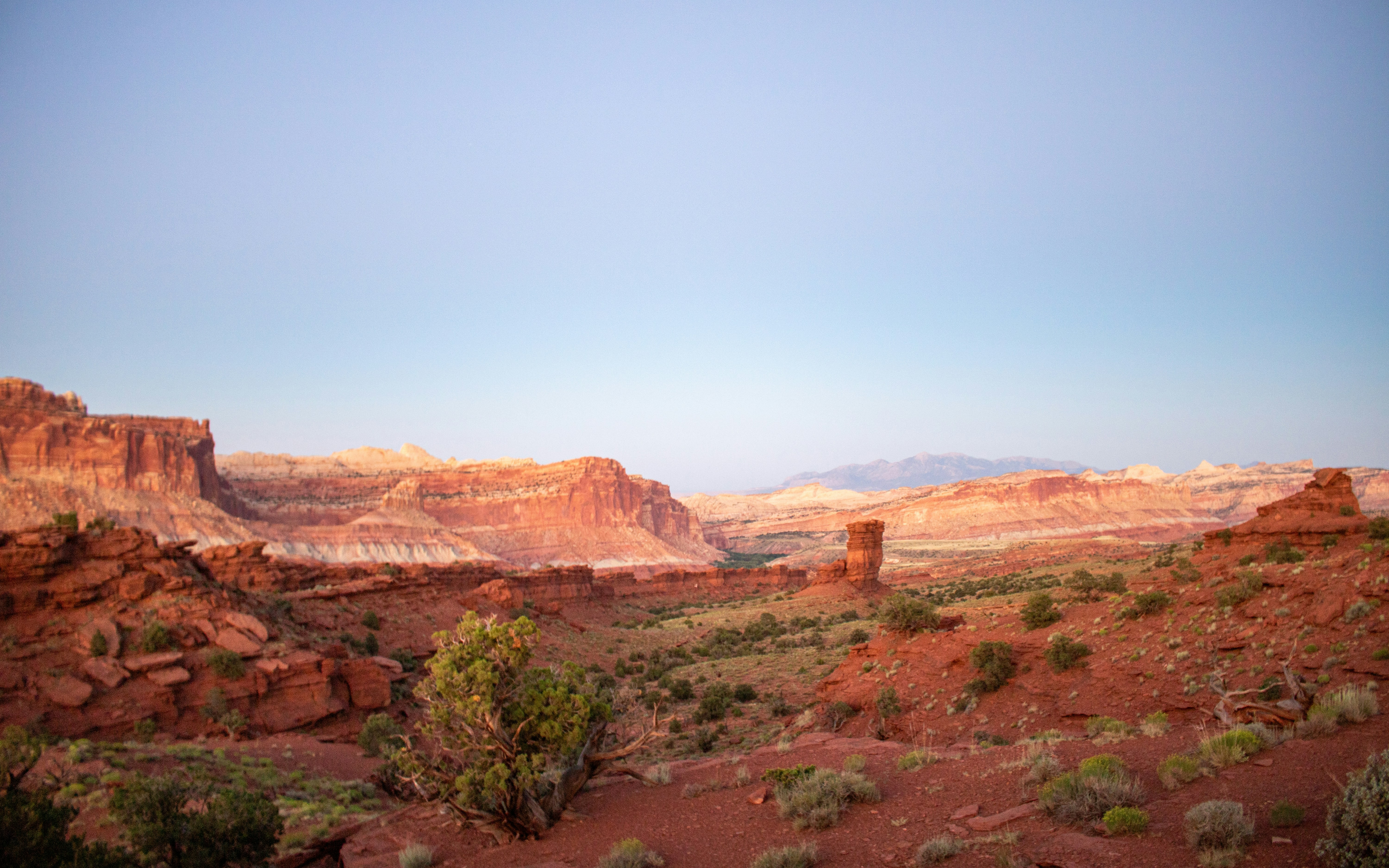 Photo by zoshuacolah