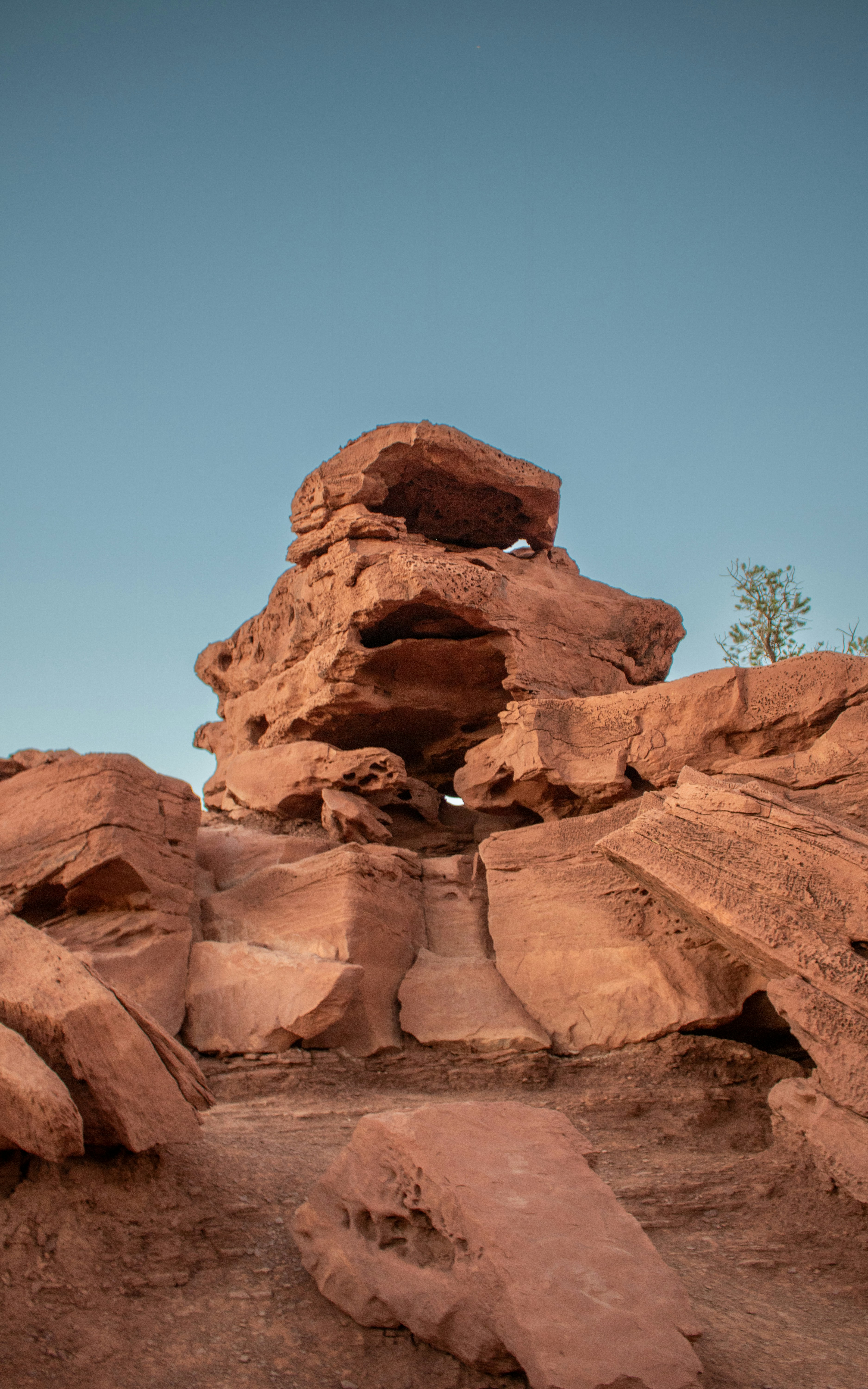 Photo by zoshuacolah