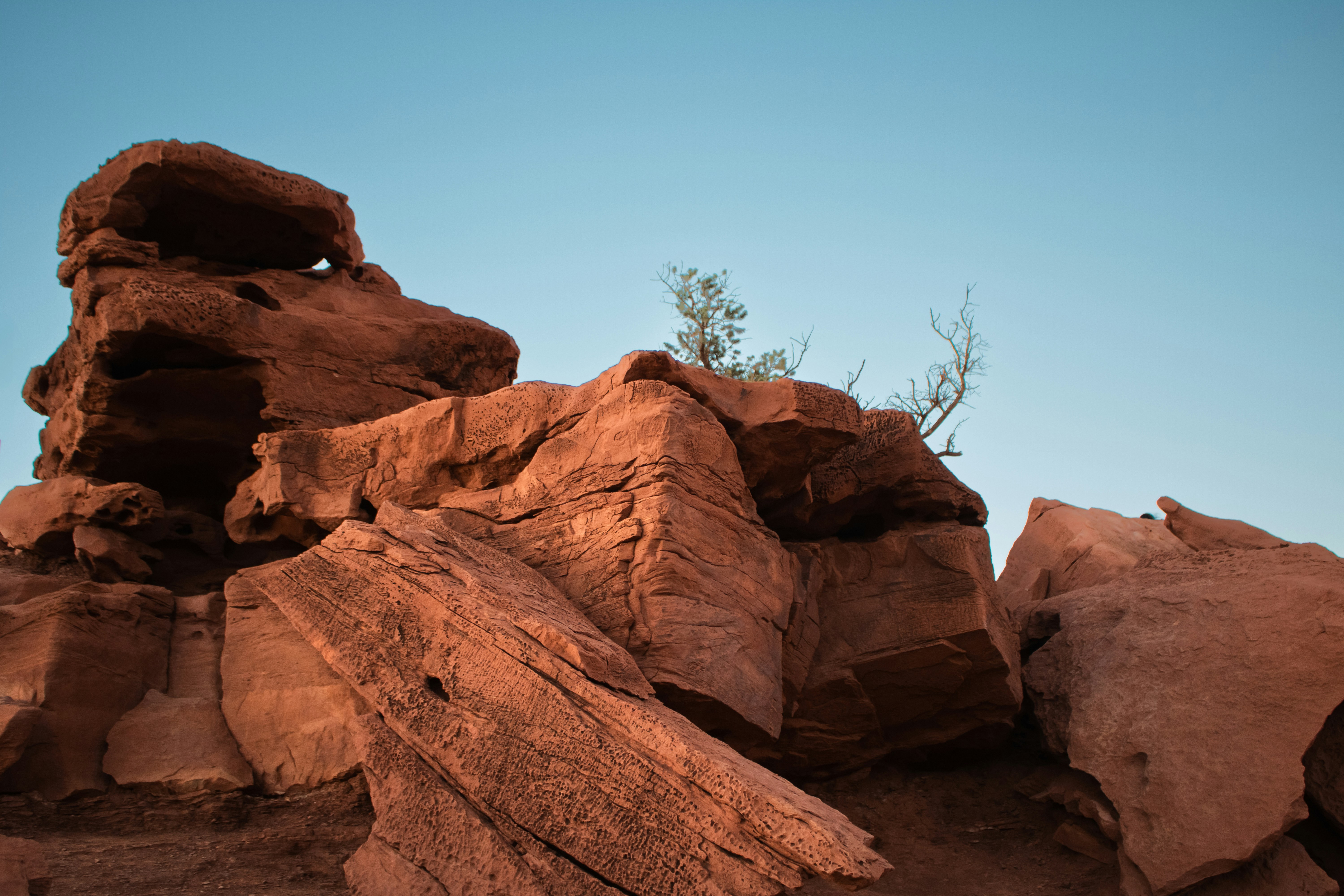 Photo by zoshuacolah