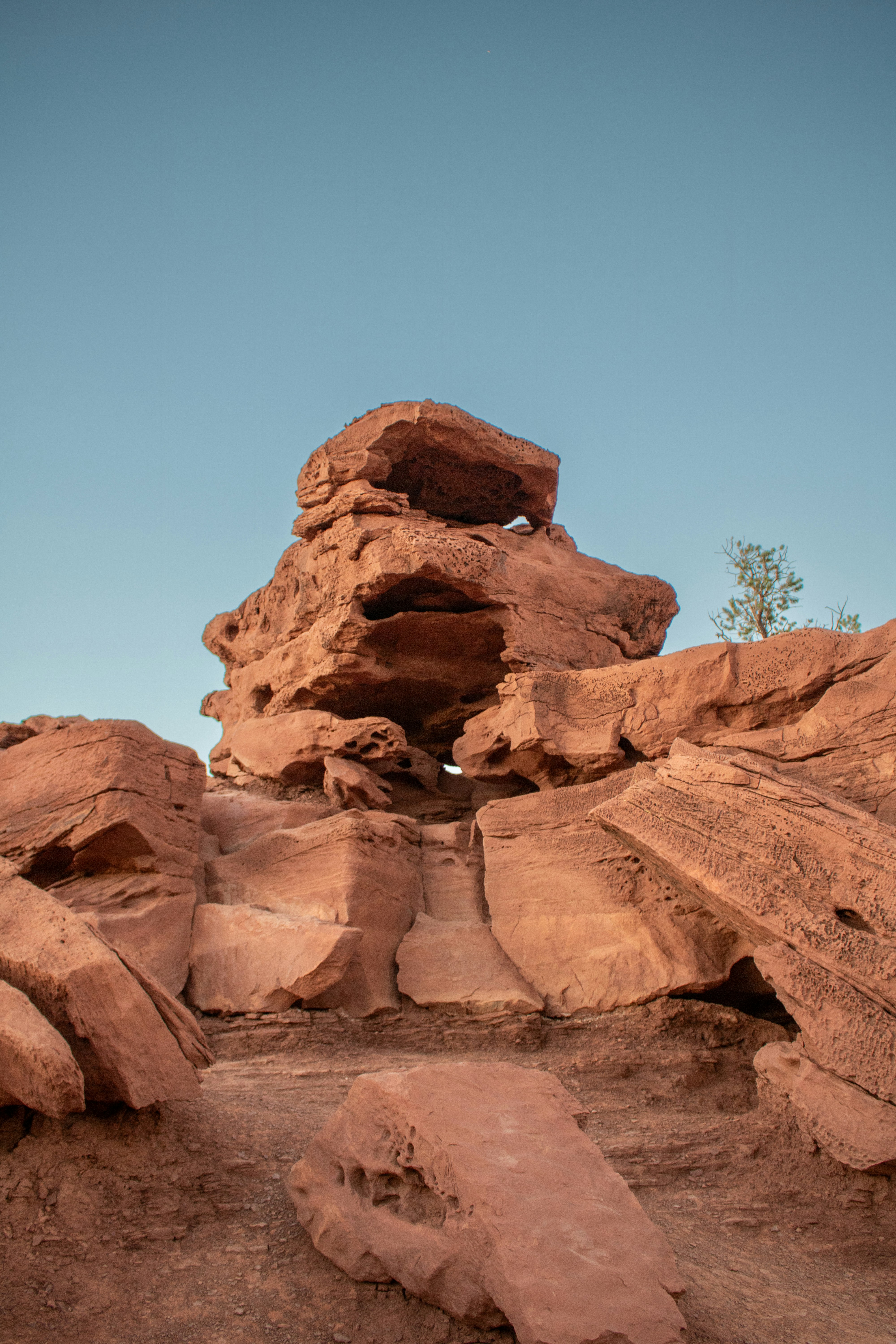 Photo by zoshuacolah