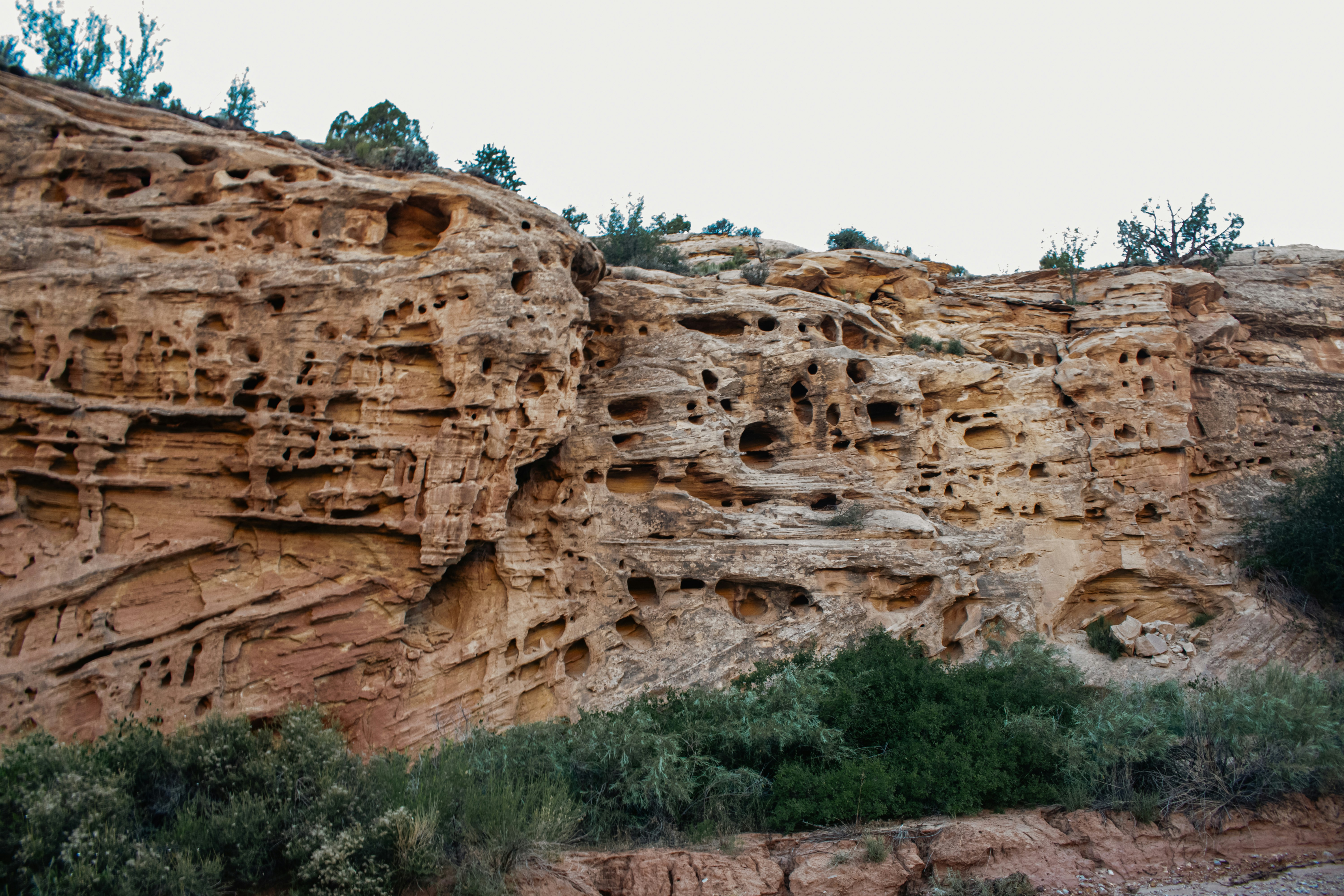 Photo by zoshuacolah