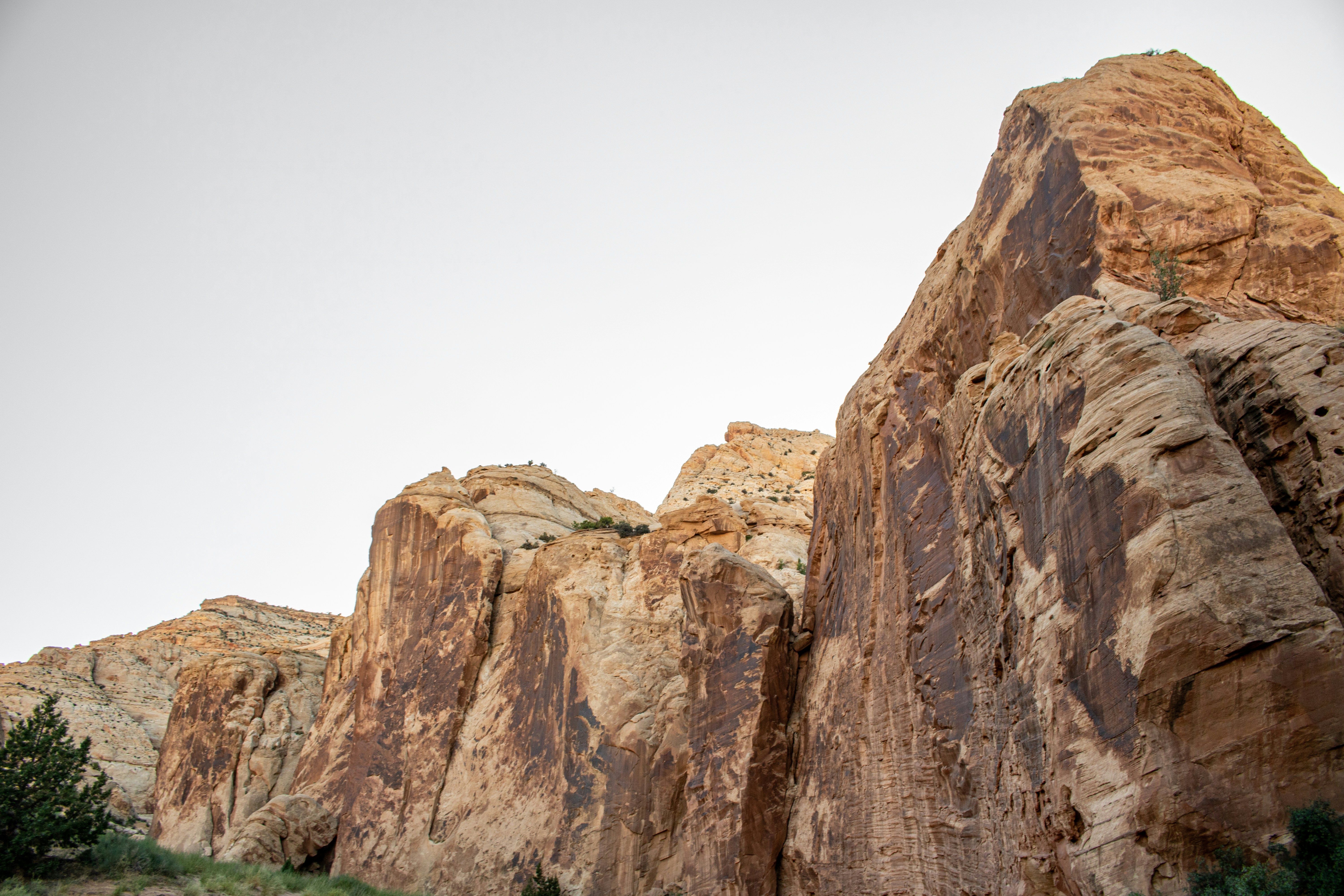 Photo by zoshuacolah