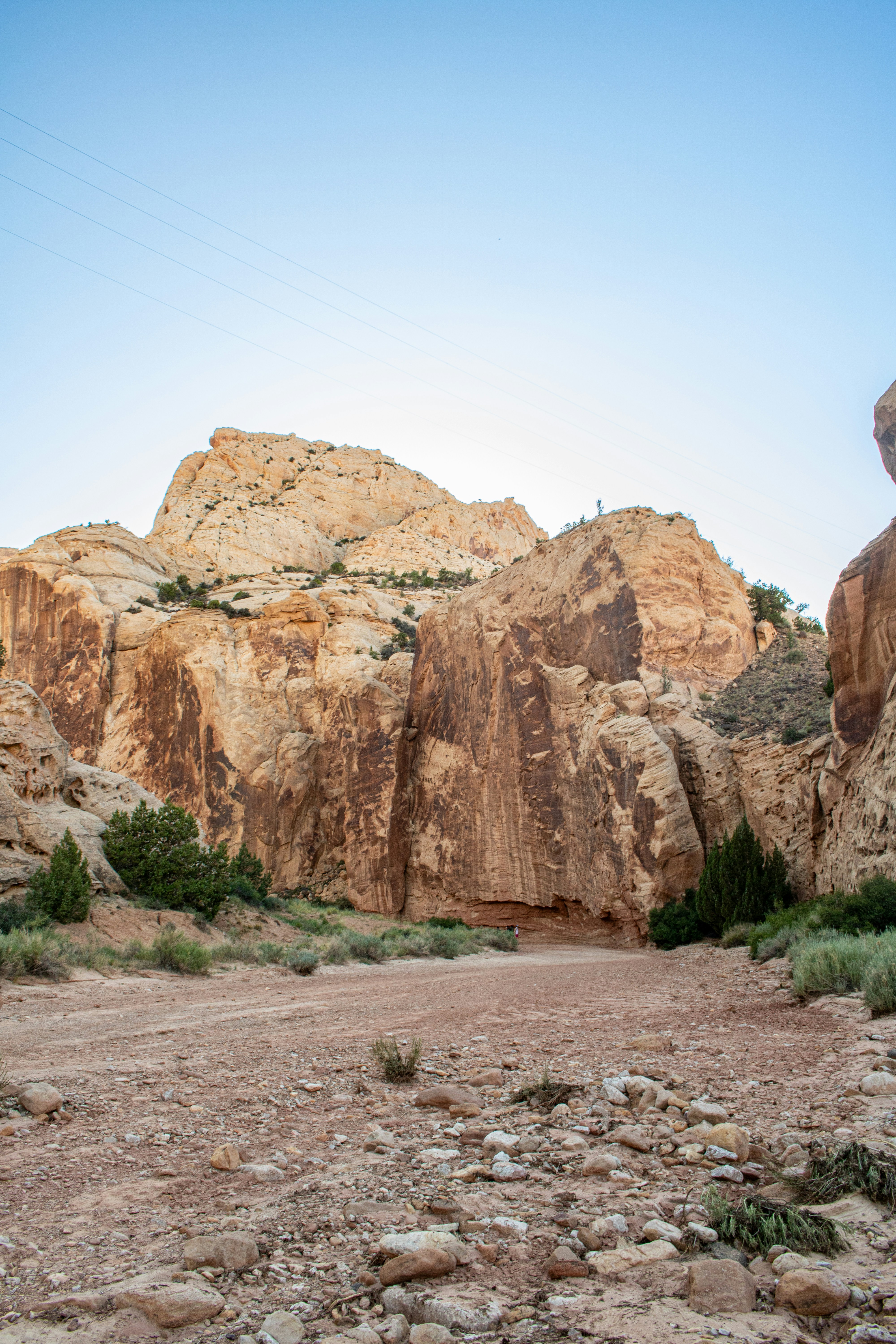 Photo by zoshuacolah