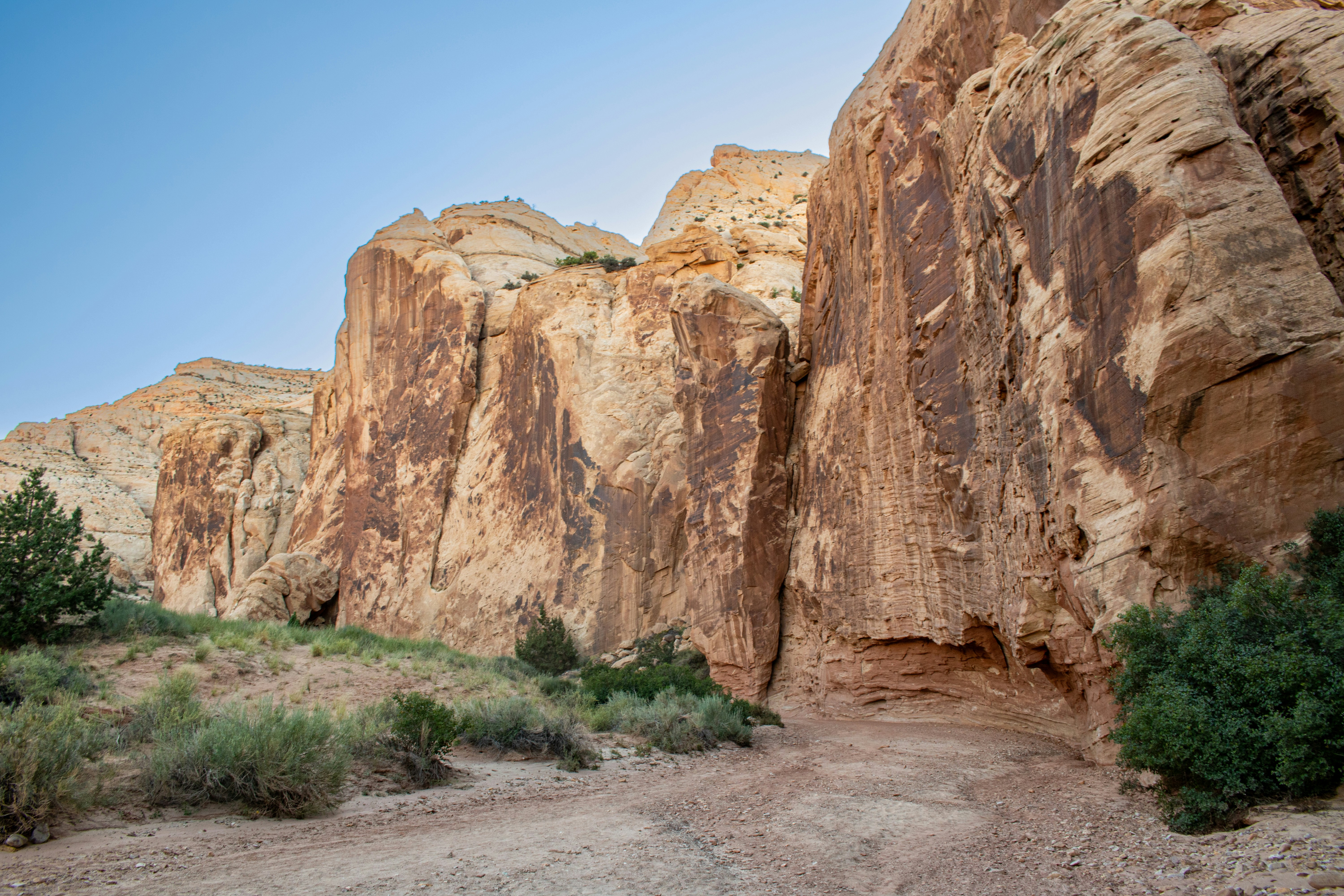 Photo by zoshuacolah