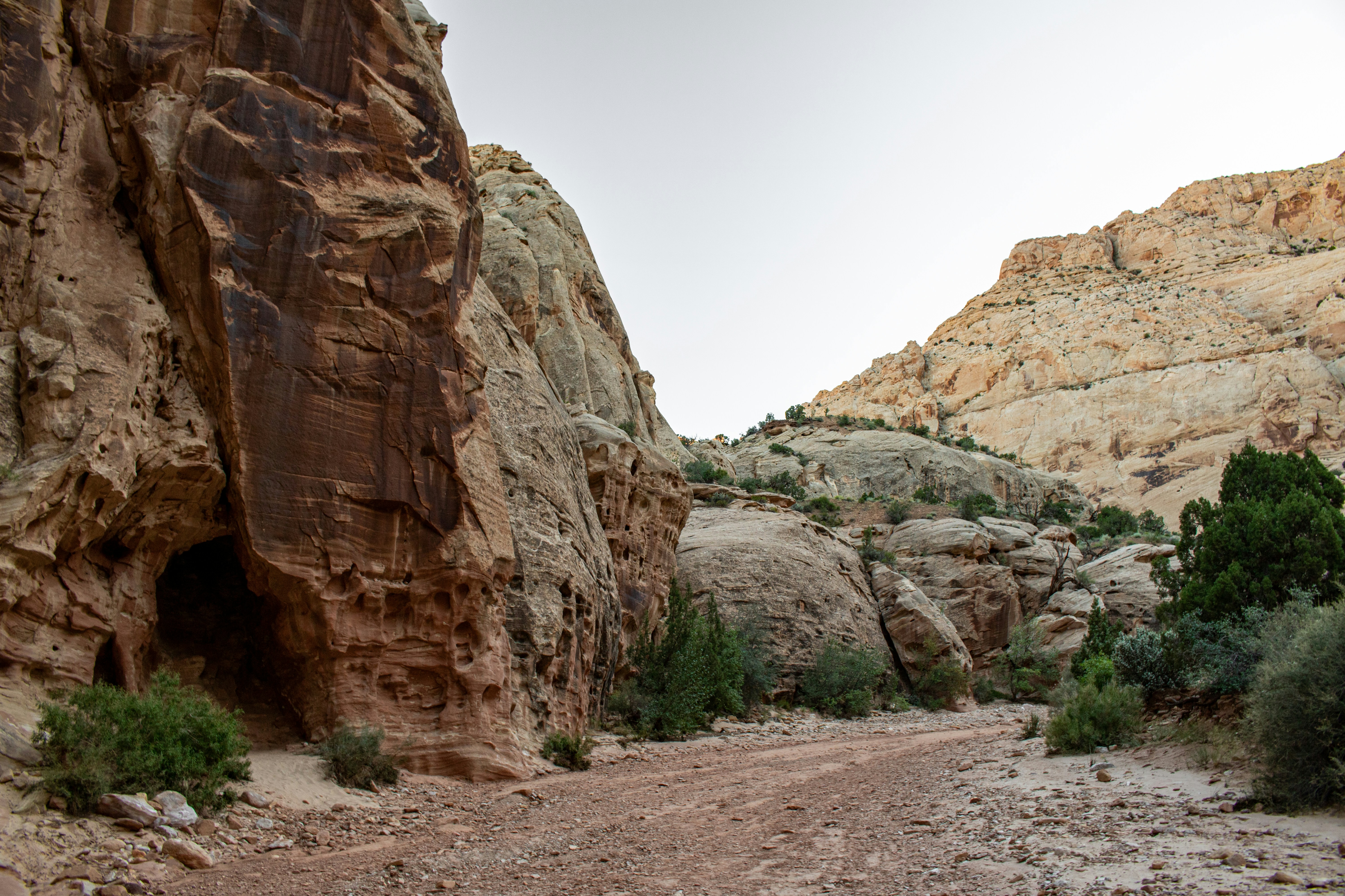 Photo by zoshuacolah