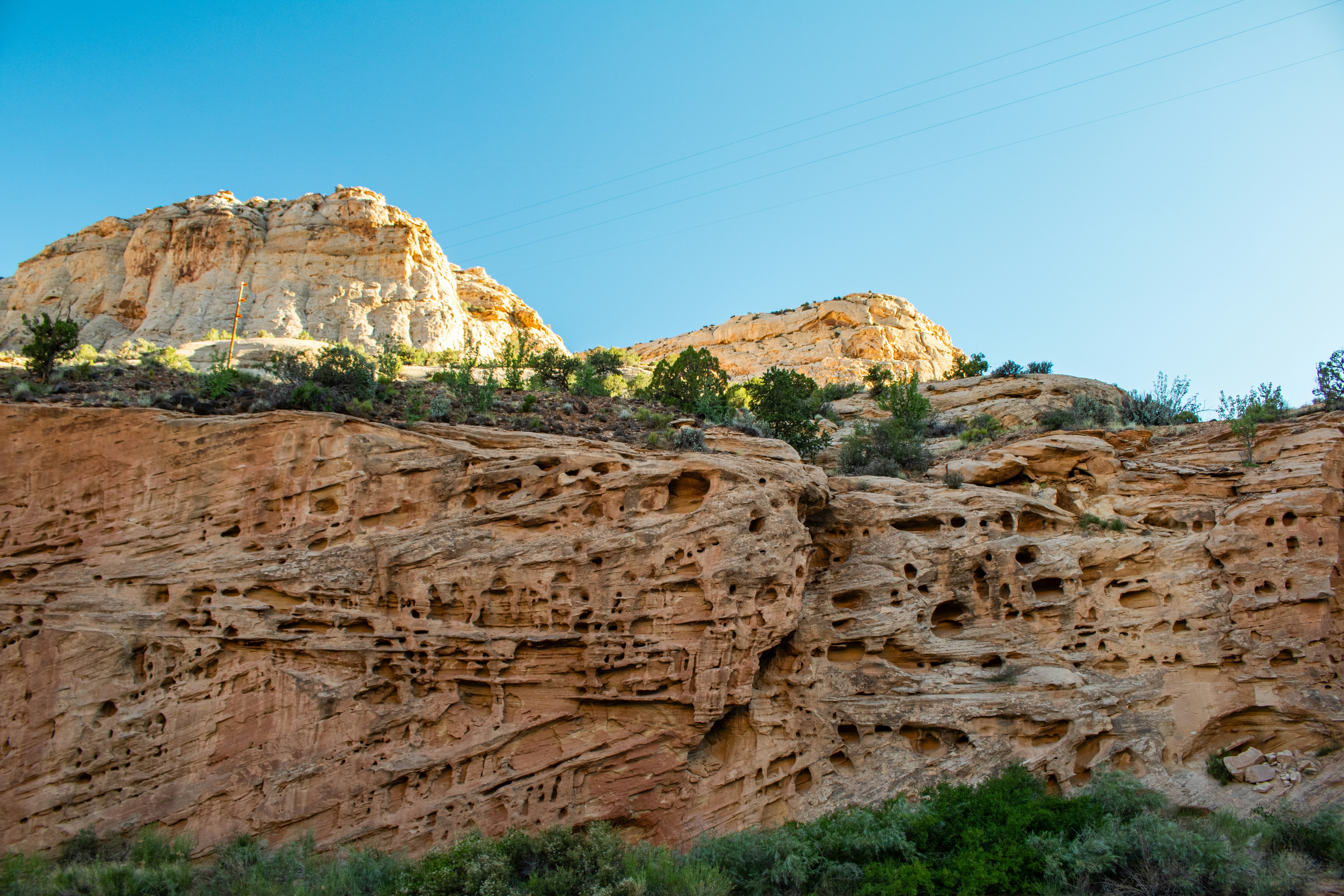 Photo by zoshuacolah