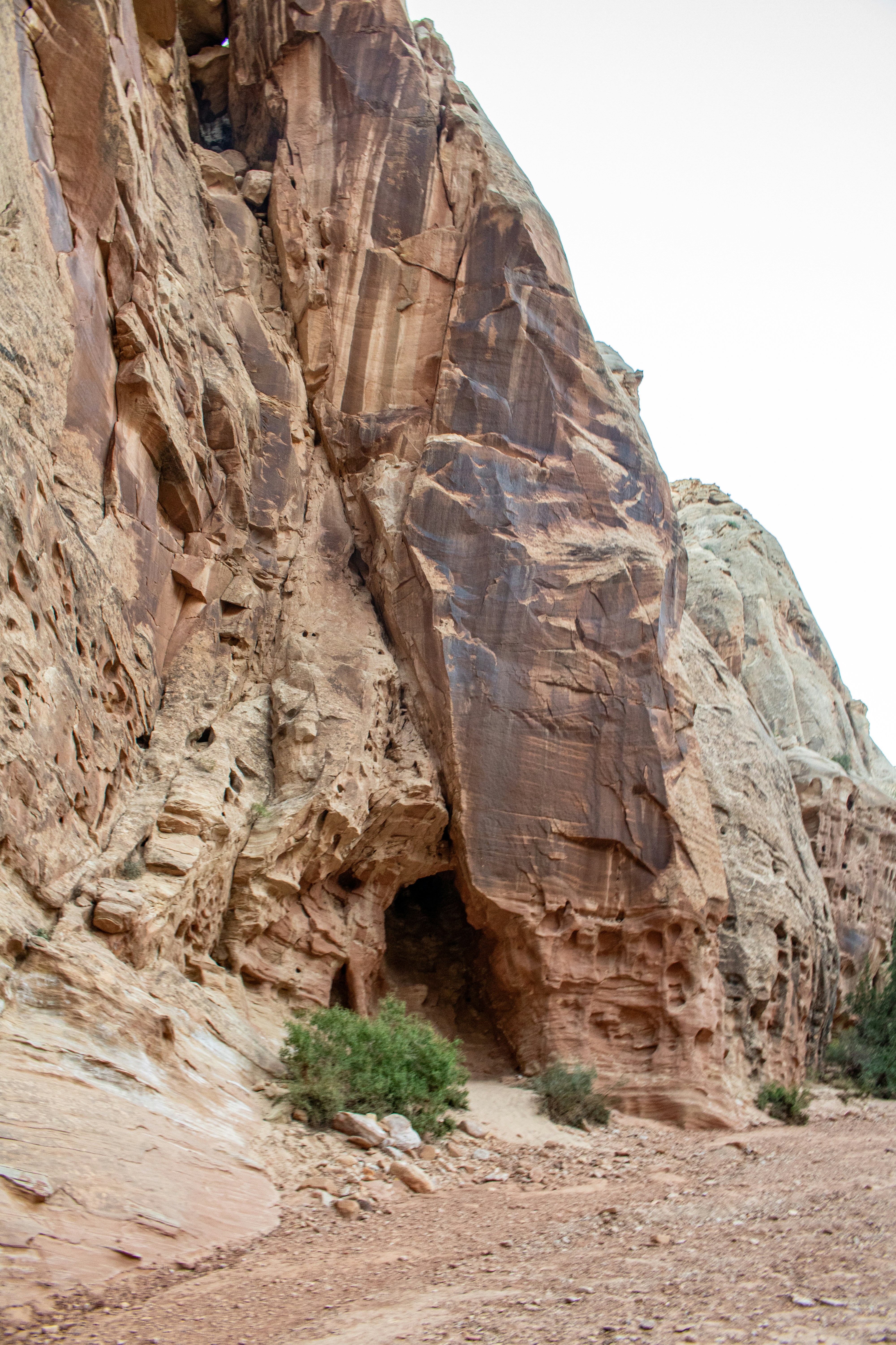 Photo by zoshuacolah