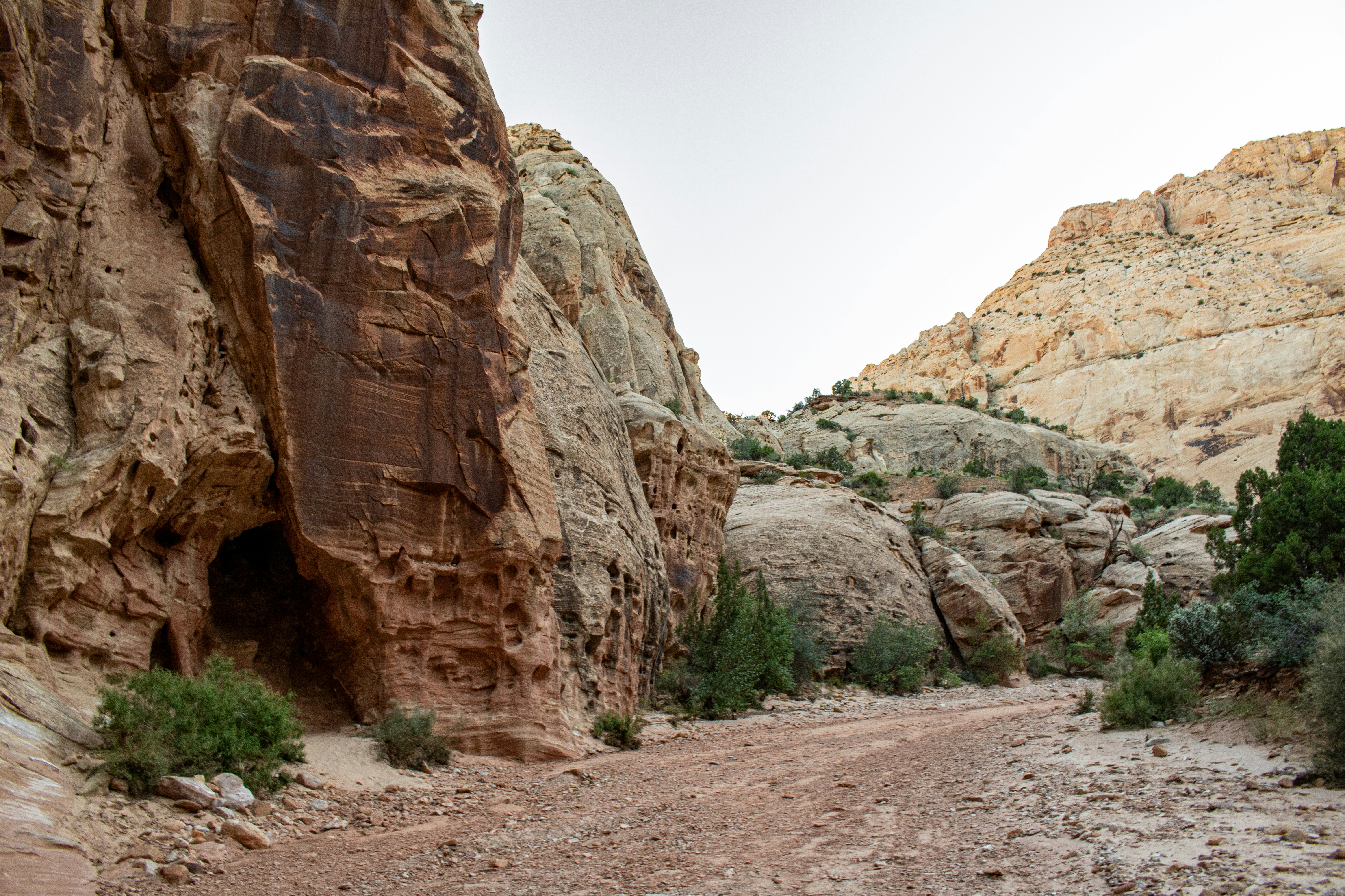 Photo by zoshuacolah