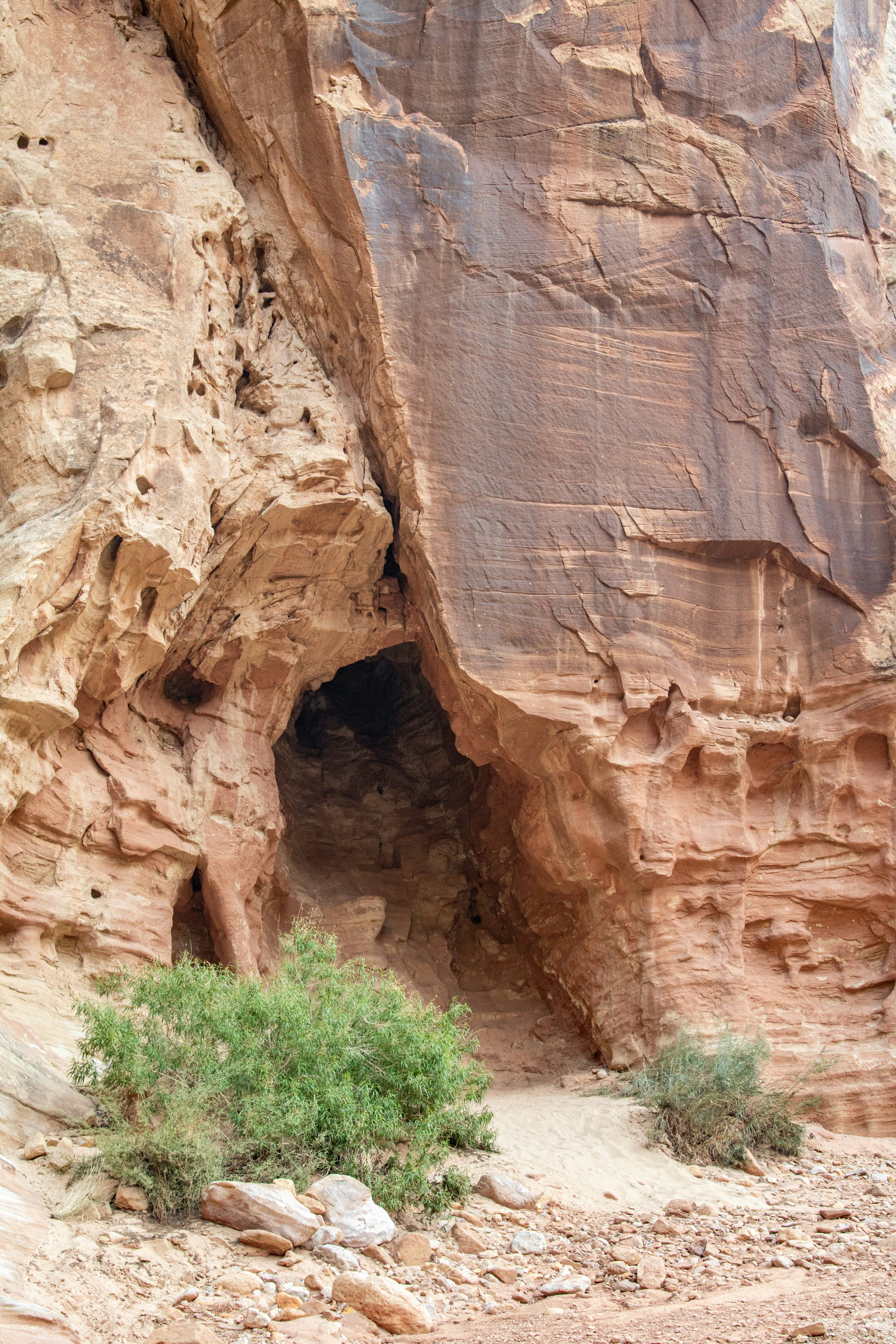 Photo by zoshuacolah