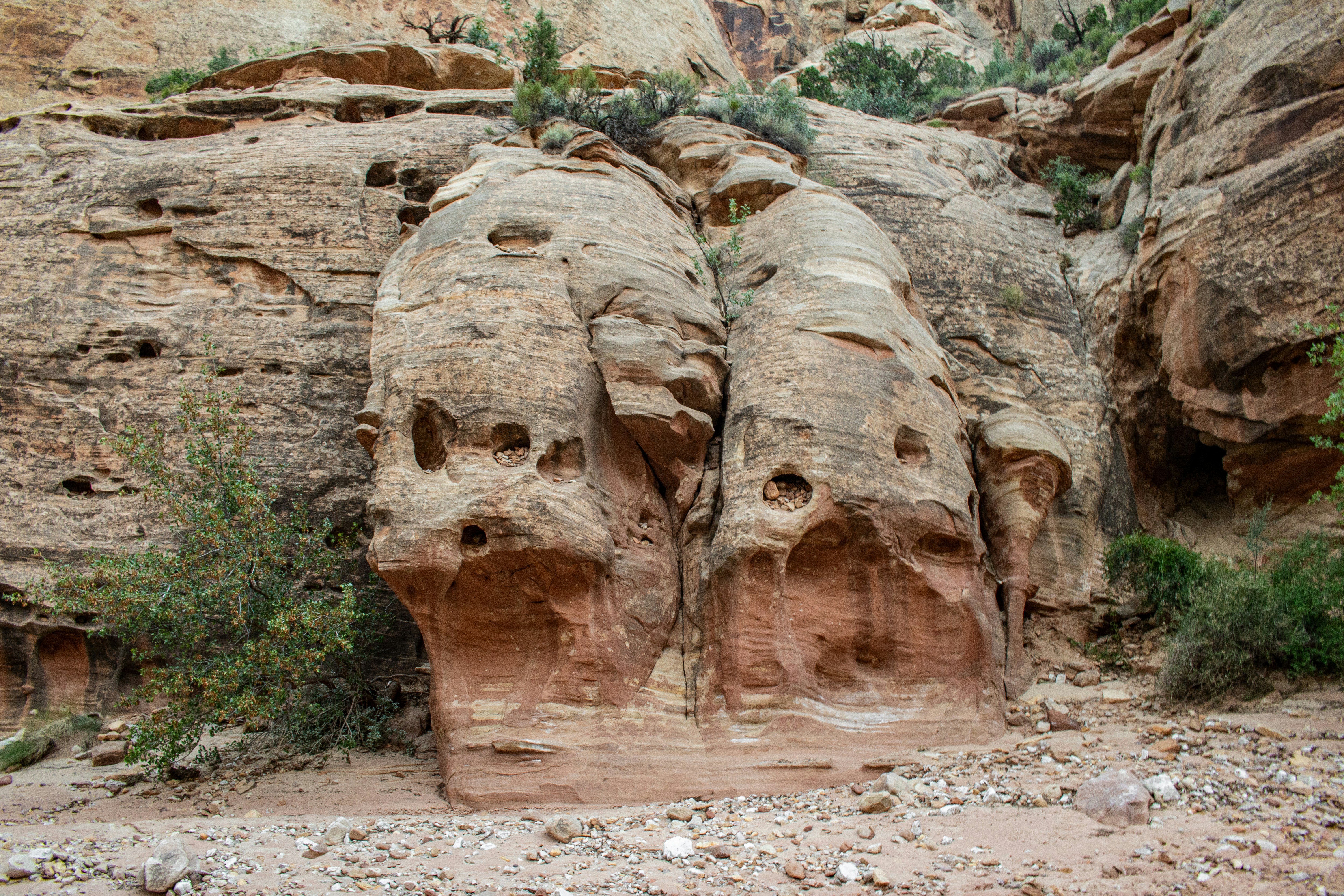 Photo by zoshuacolah