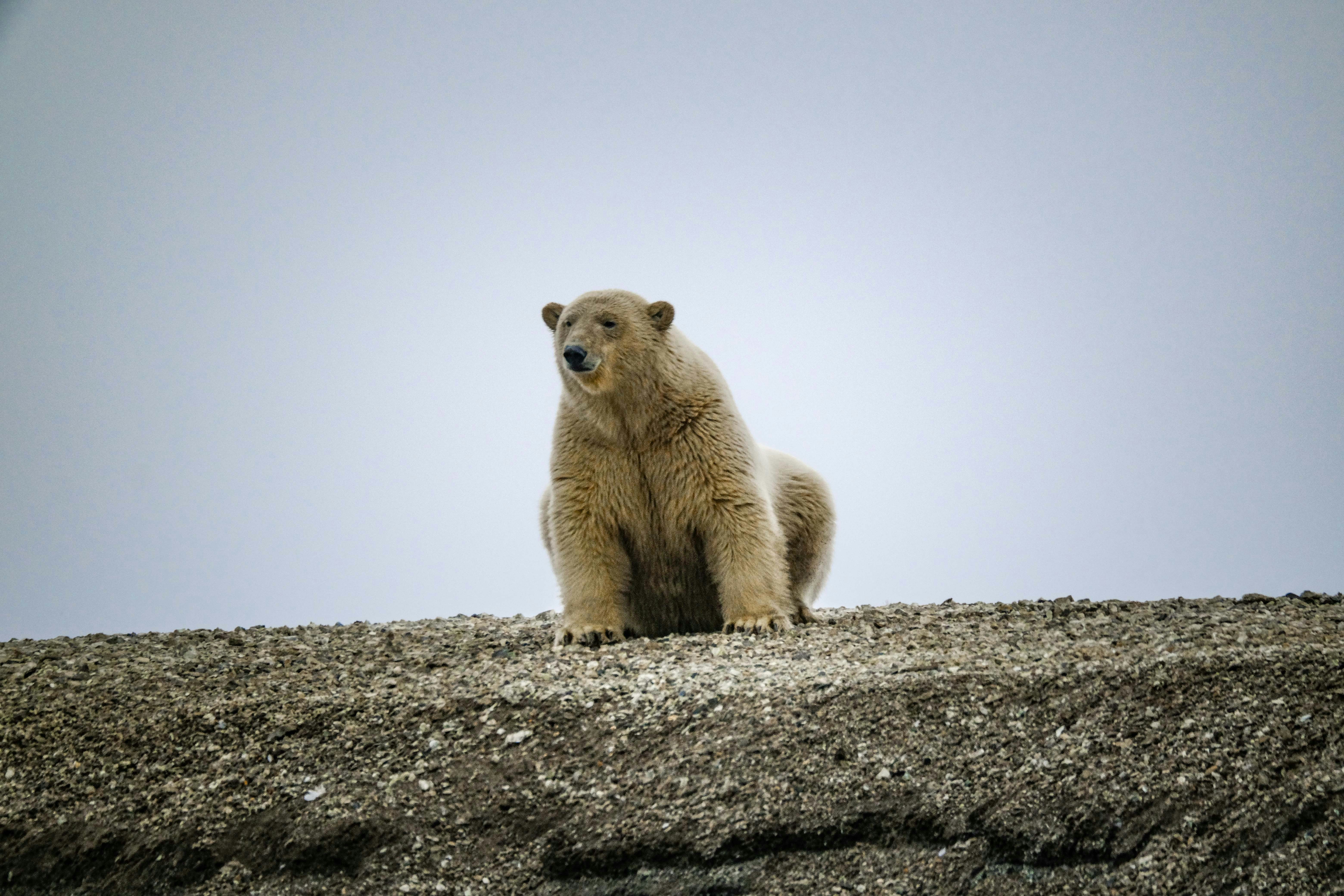 Photo by francesco_ungaro