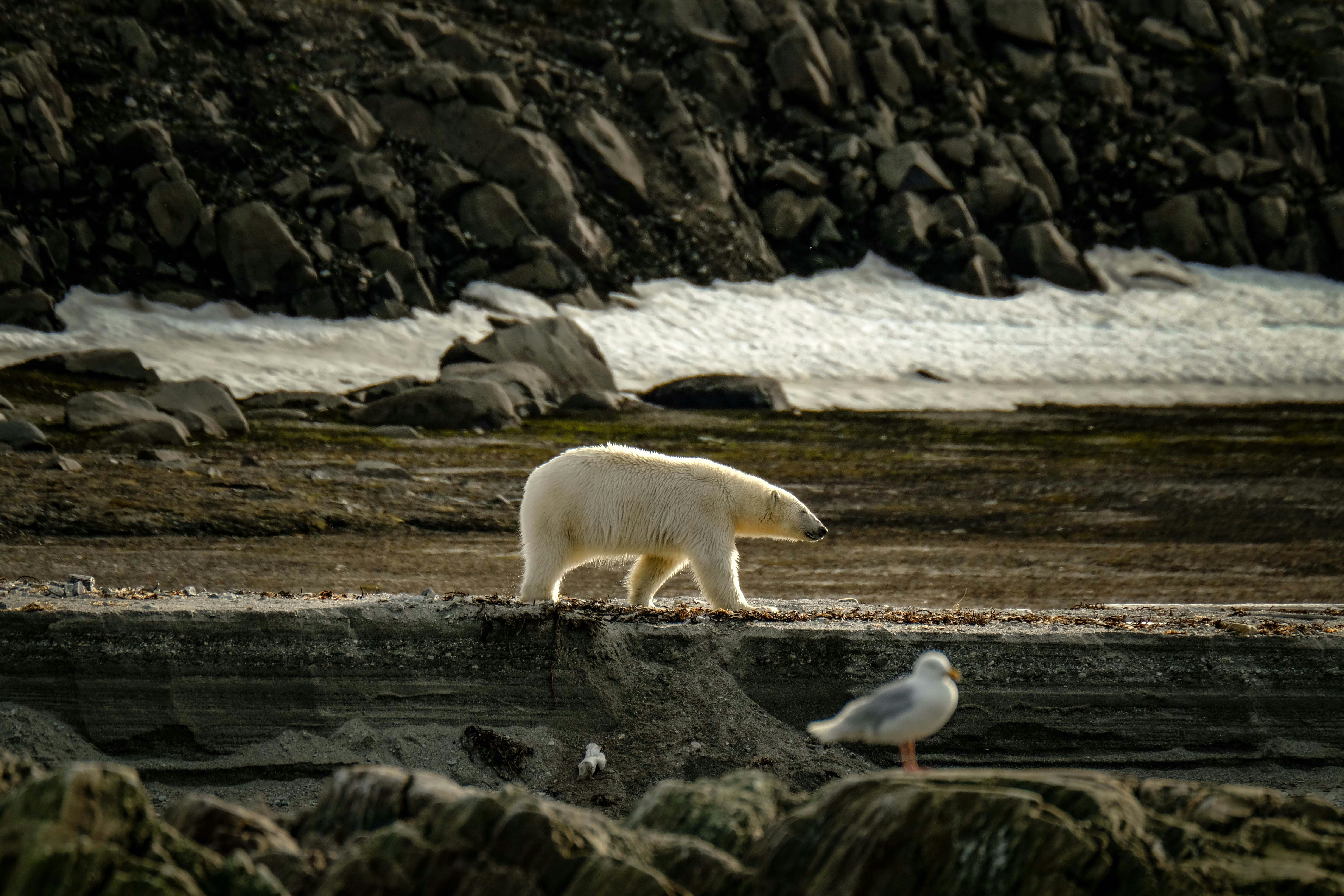 Photo by francesco_ungaro