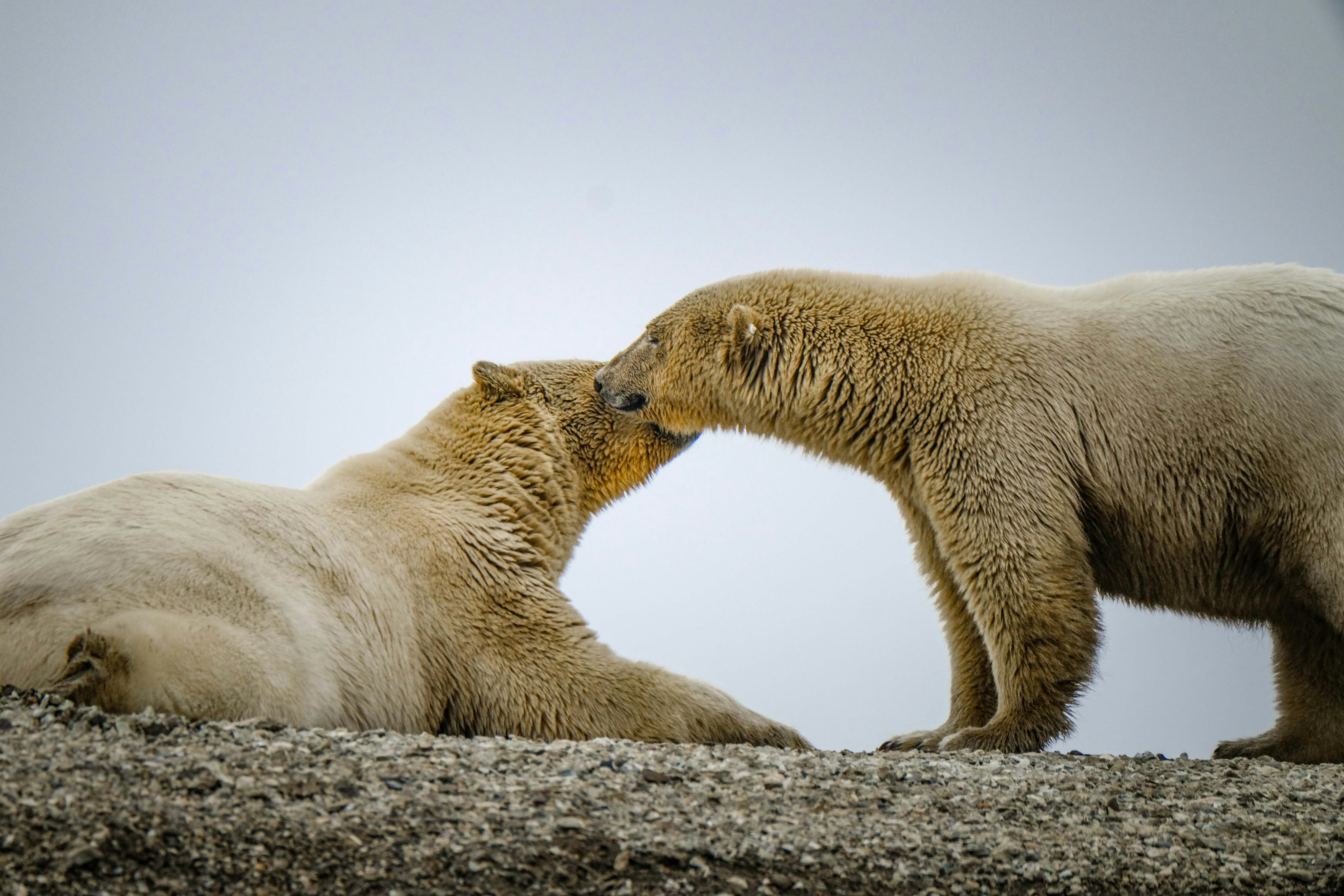 Photo by francesco_ungaro