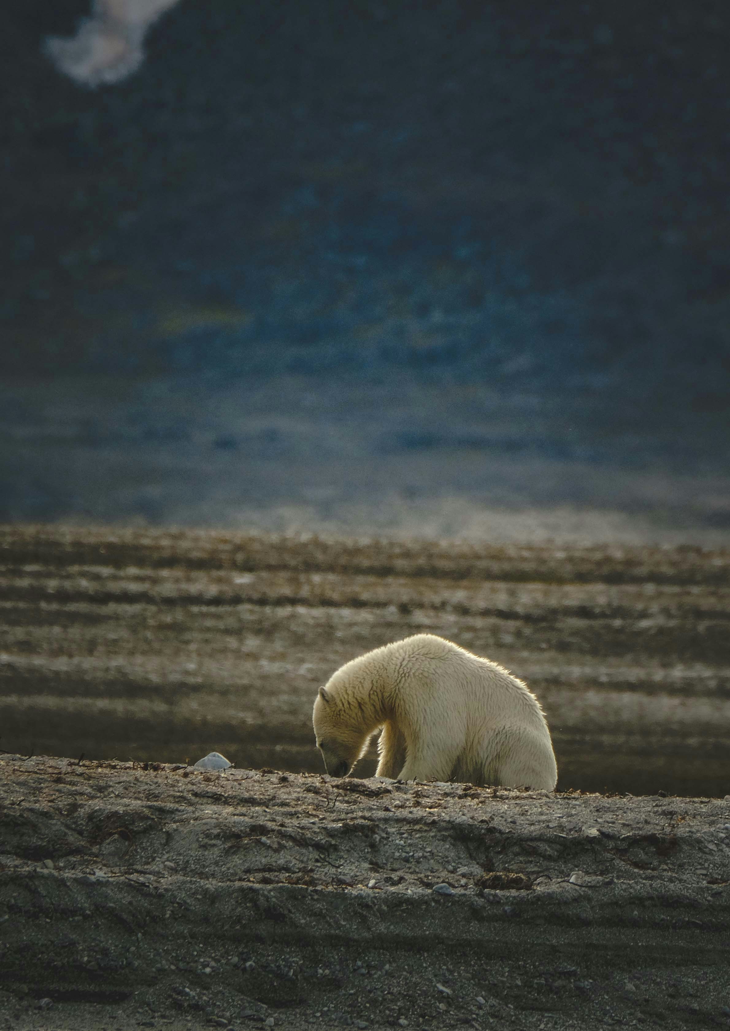 Photo by francesco_ungaro