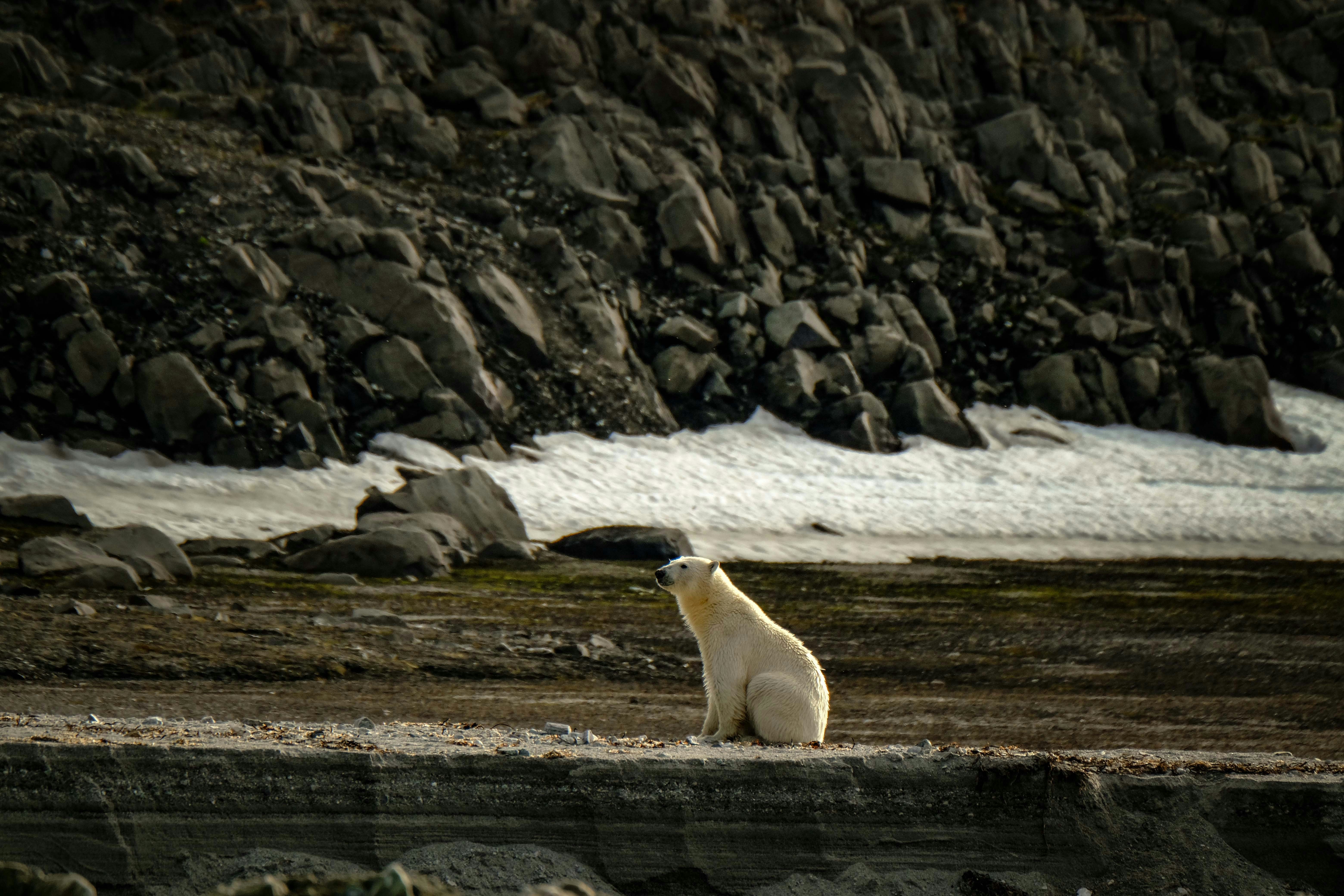 Photo by francesco_ungaro