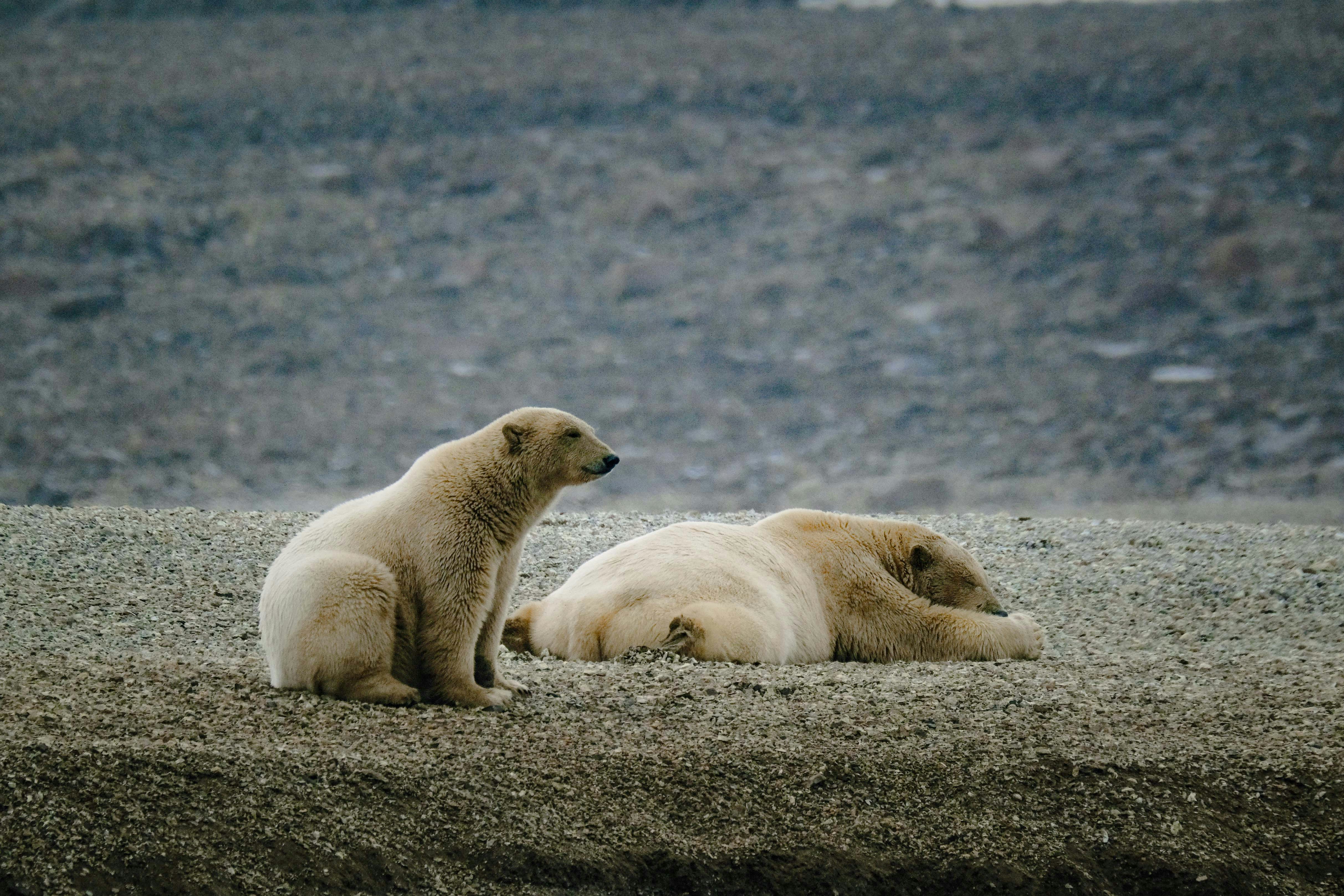 Photo by francesco_ungaro