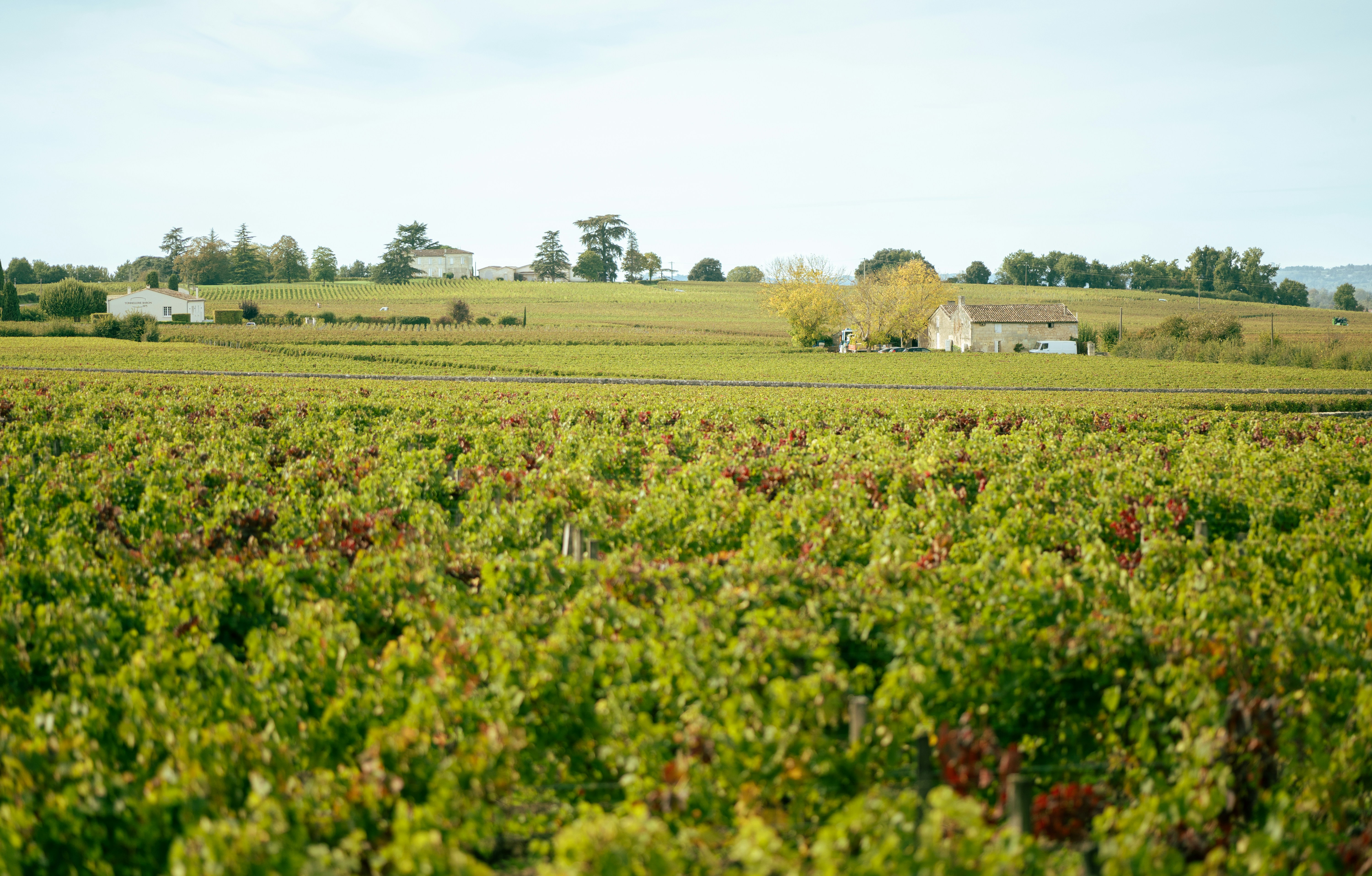 A large field with a house in the distance