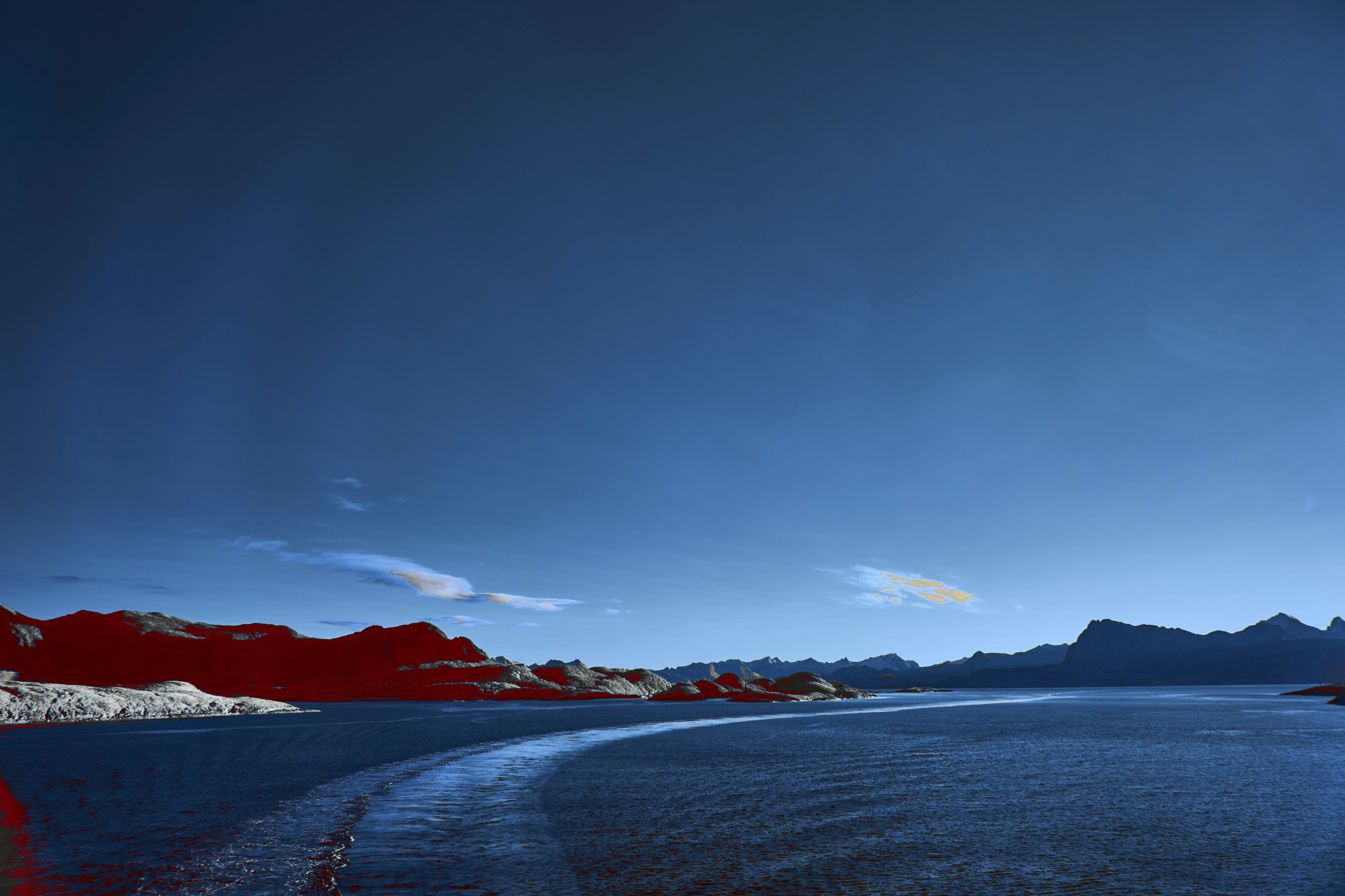 Photo by wolfgang_hasselmann