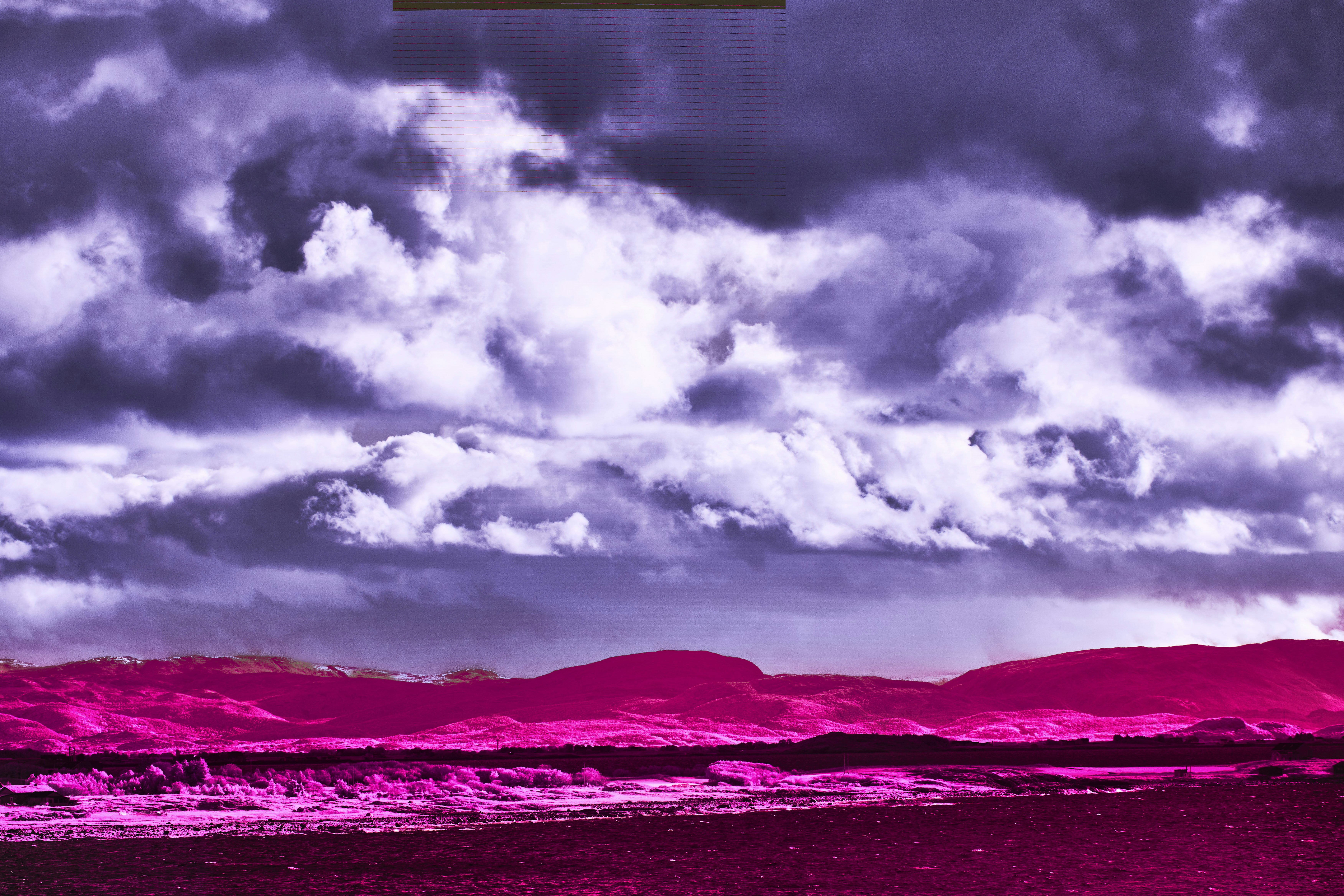 Photo by wolfgang_hasselmann