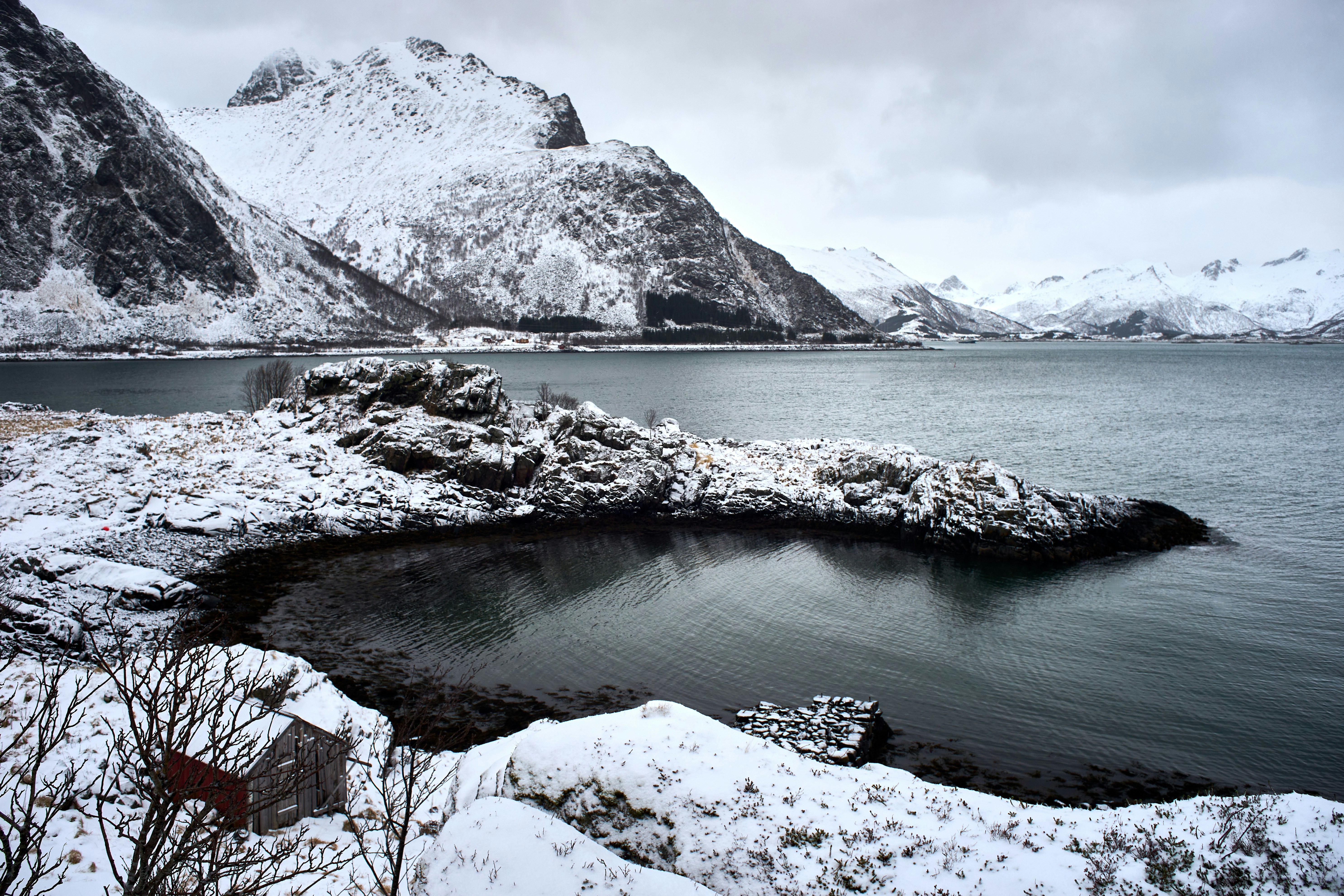 Photo by wolfgang_hasselmann