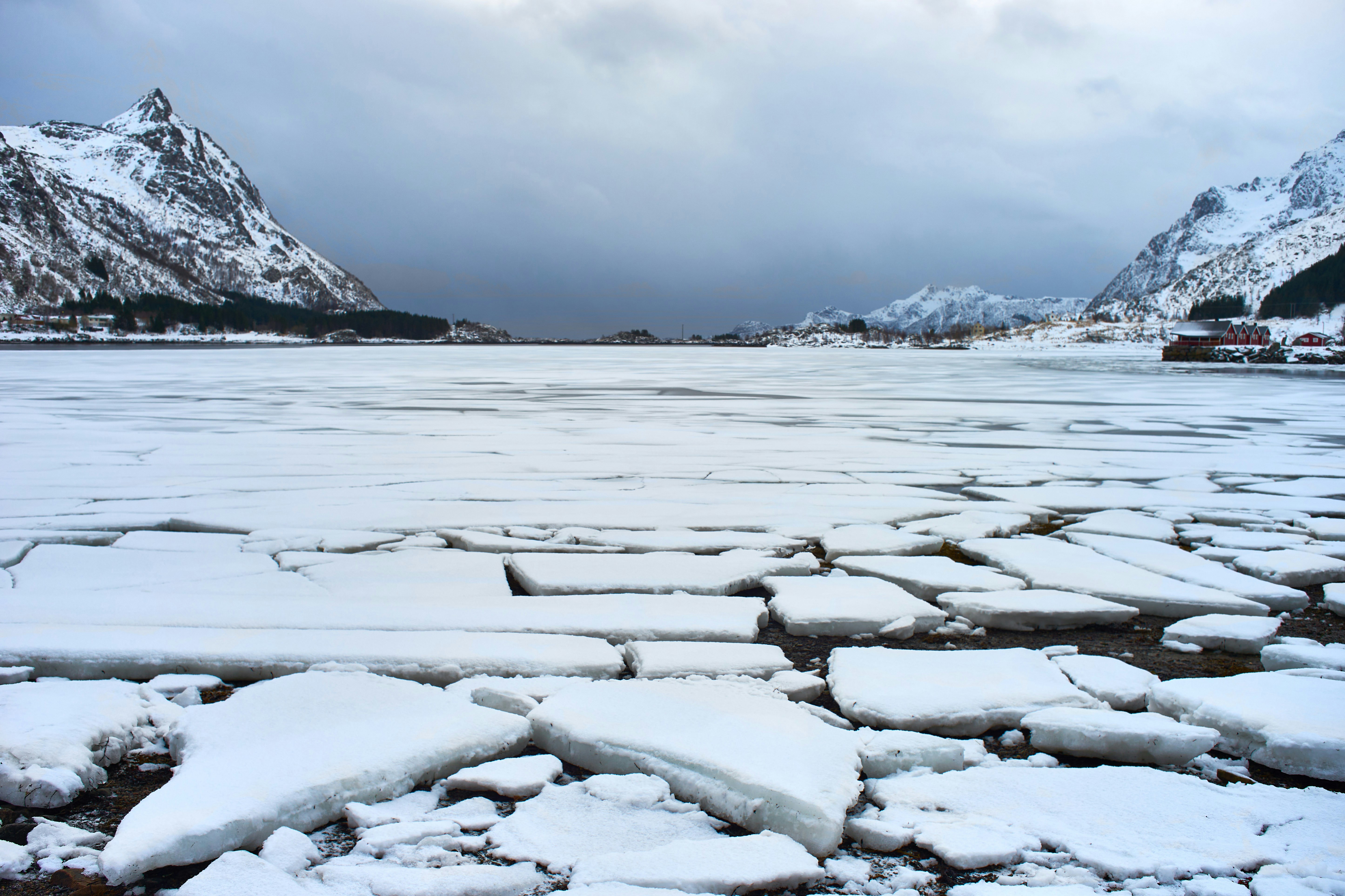 Photo by wolfgang_hasselmann