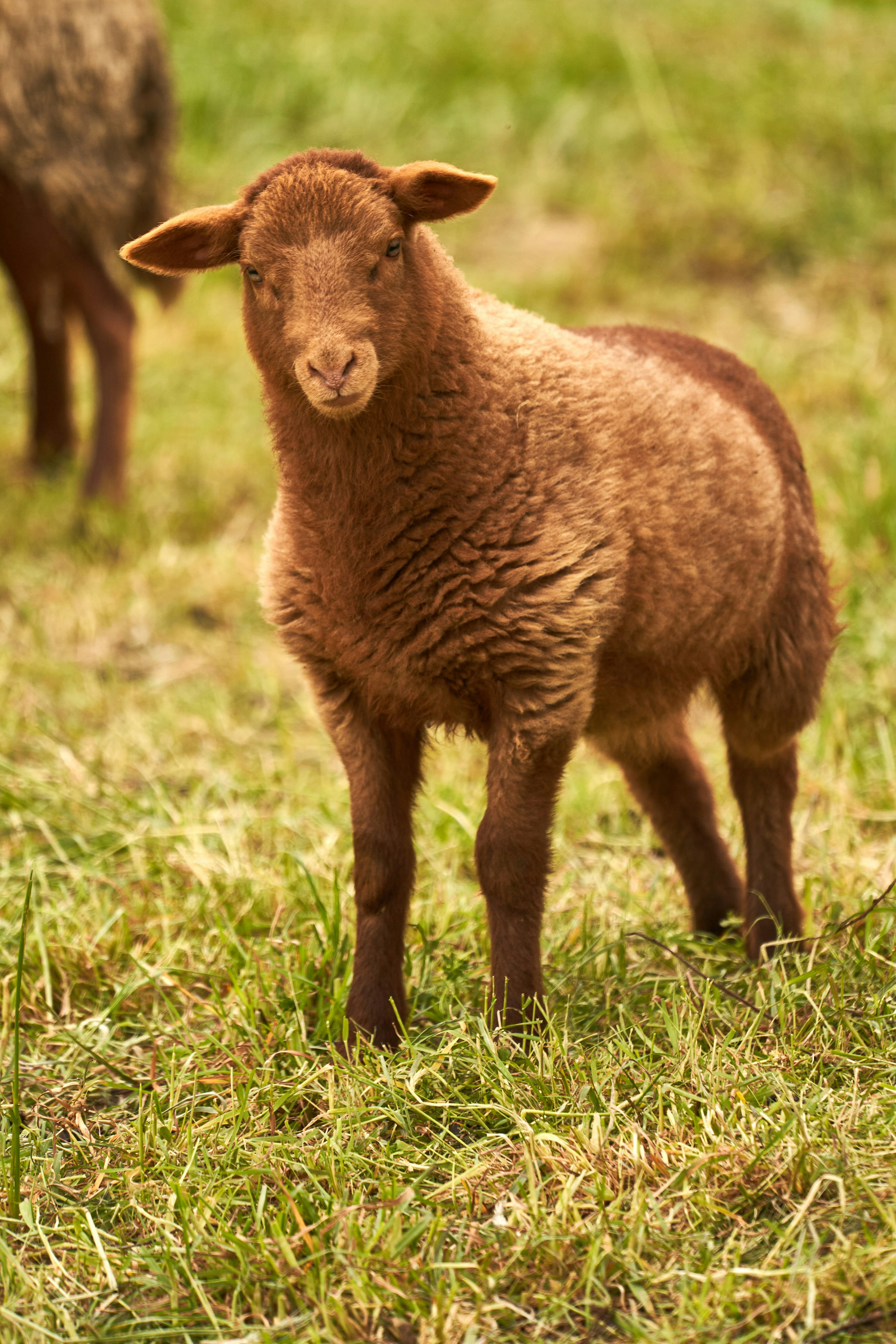 Photo by wolfgang_hasselmann