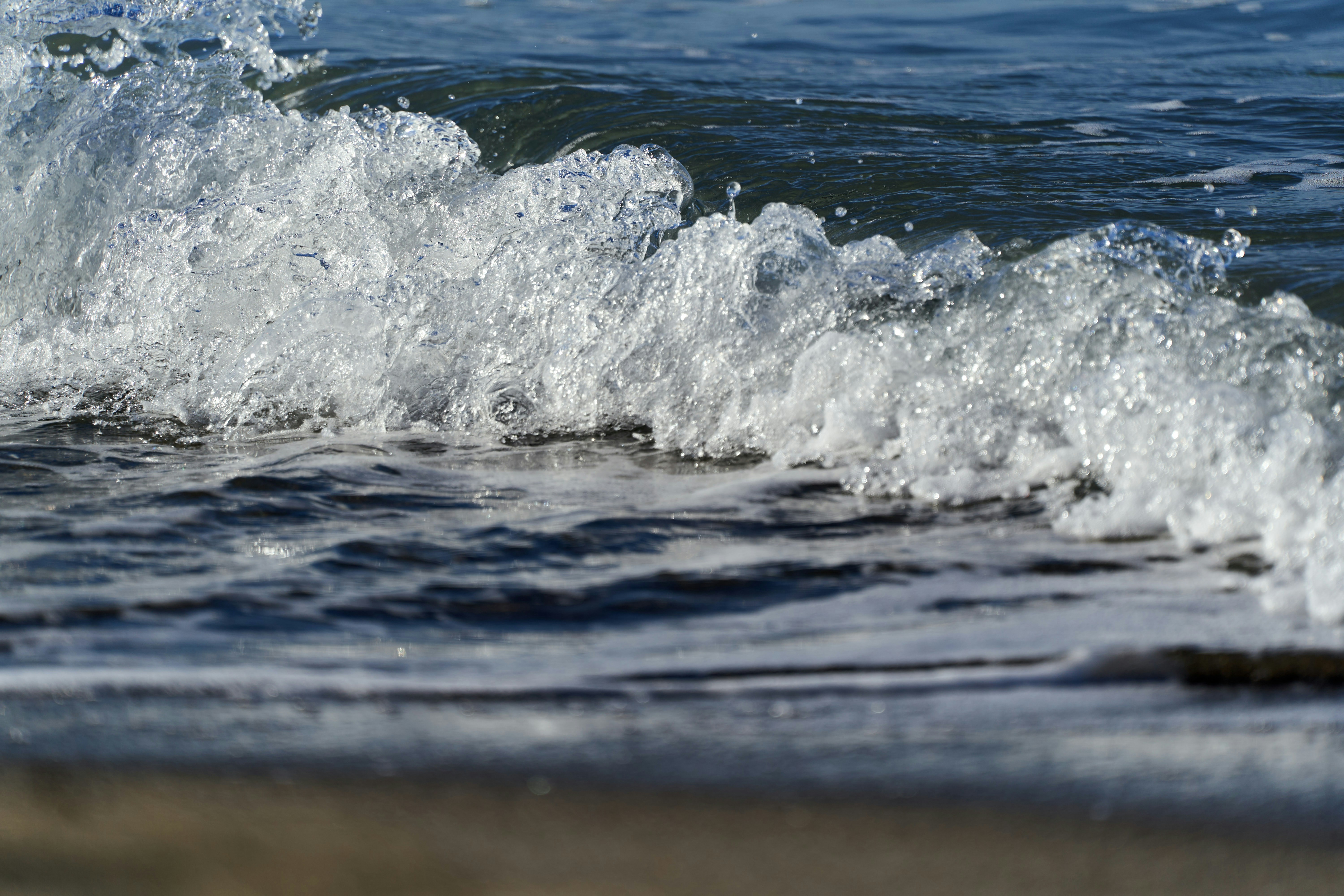 Photo by wolfgang_hasselmann