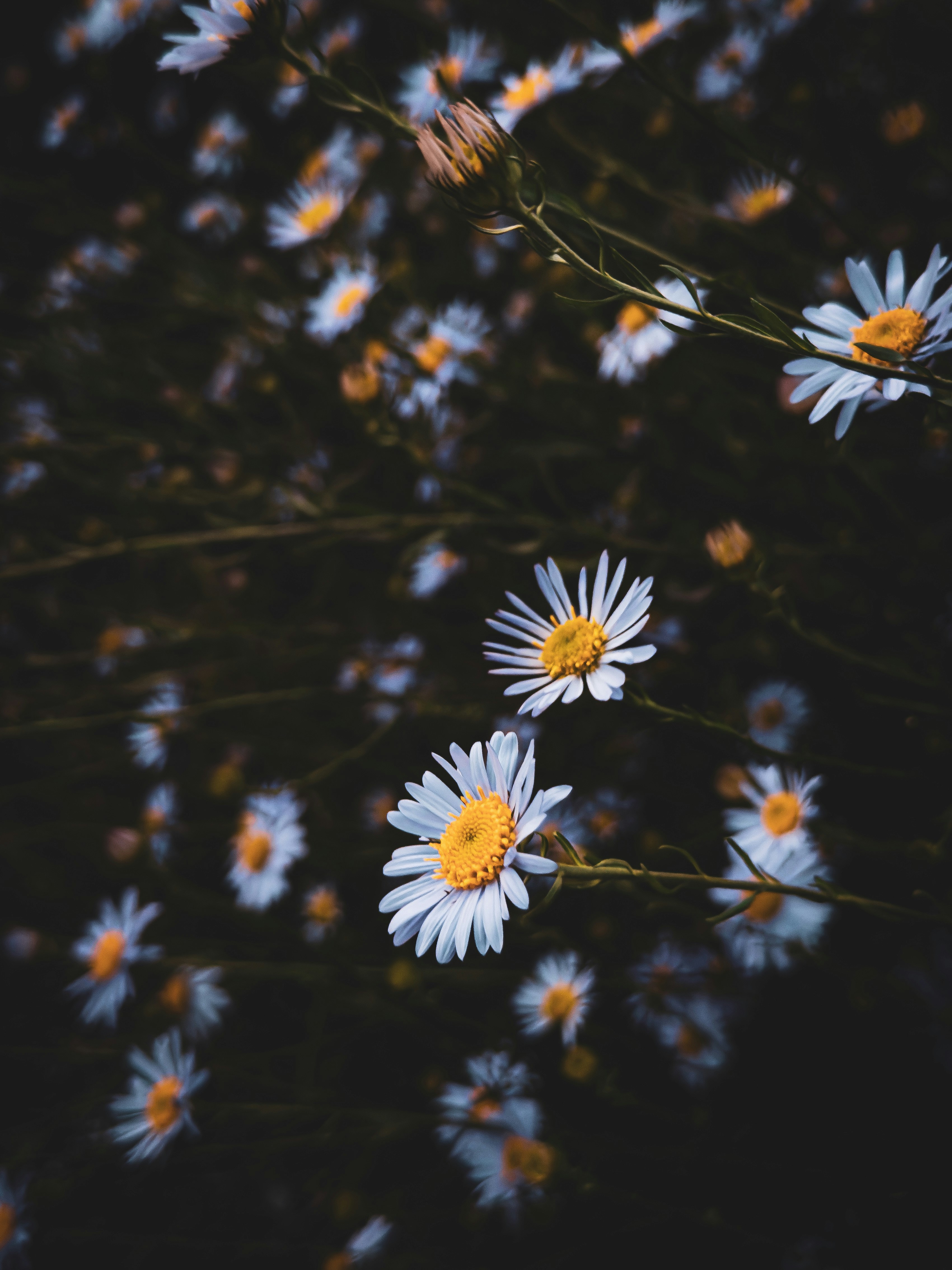 Photo by yeon01050508