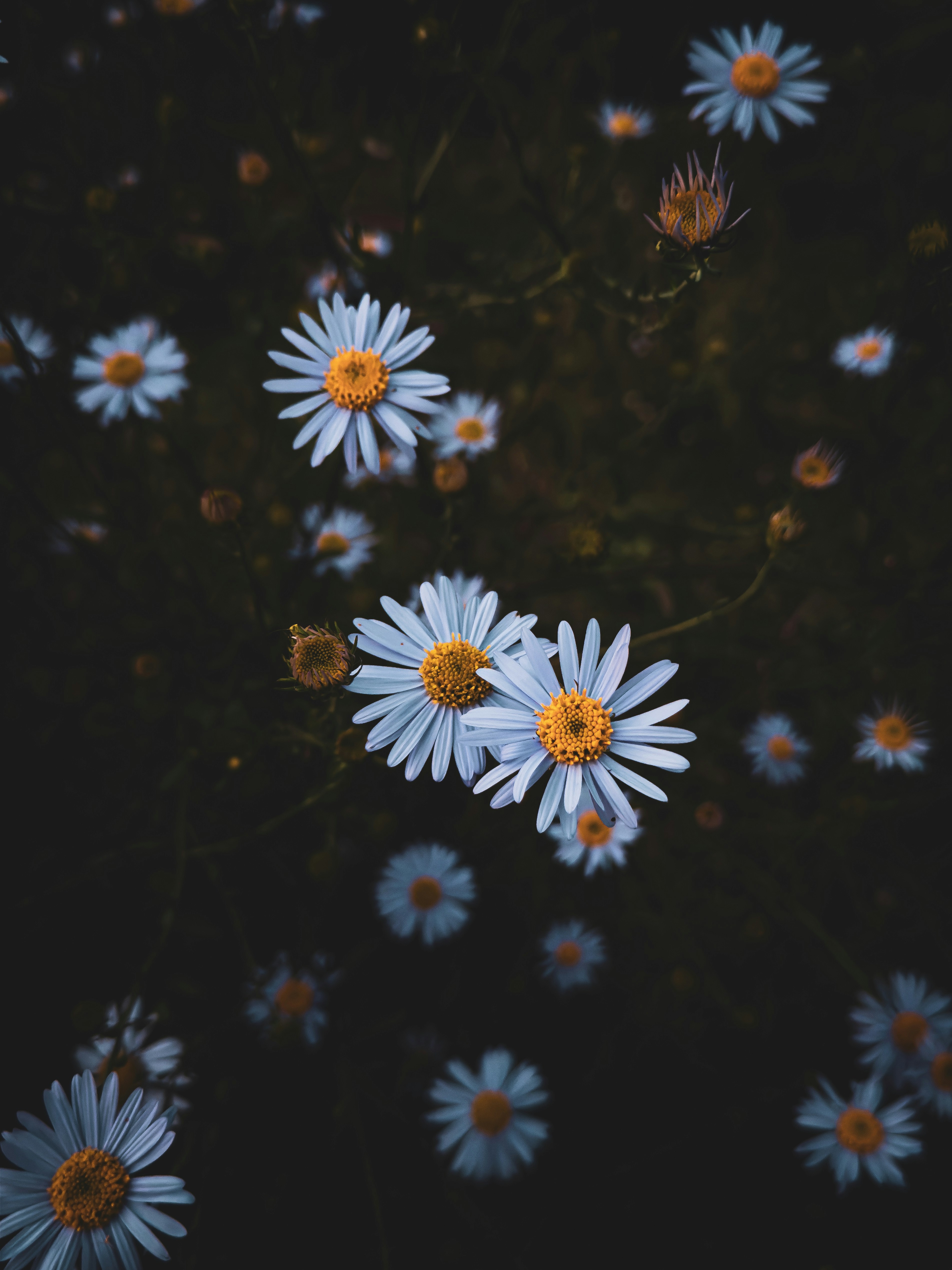 Photo by yeon01050508