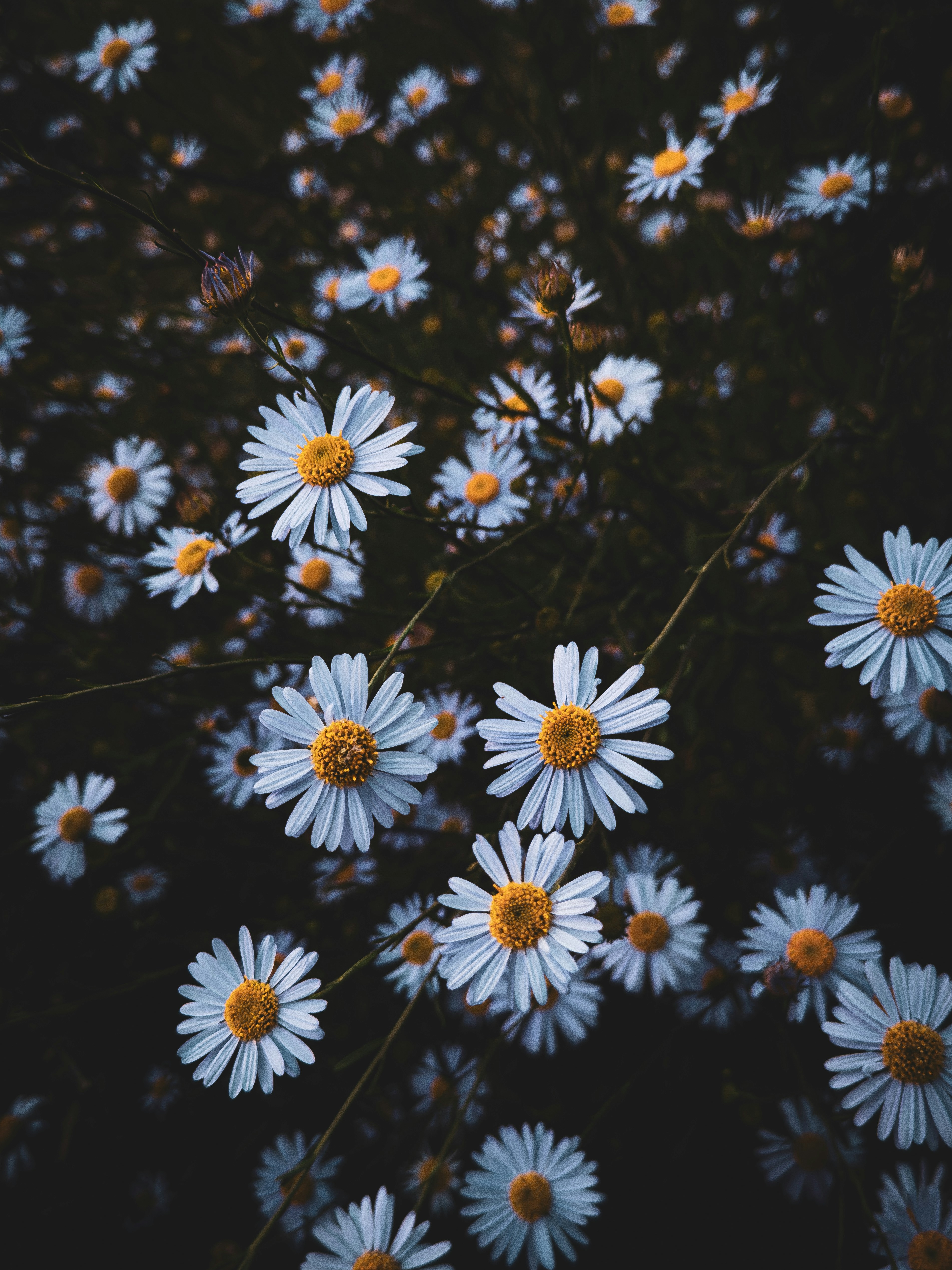 Photo by yeon01050508