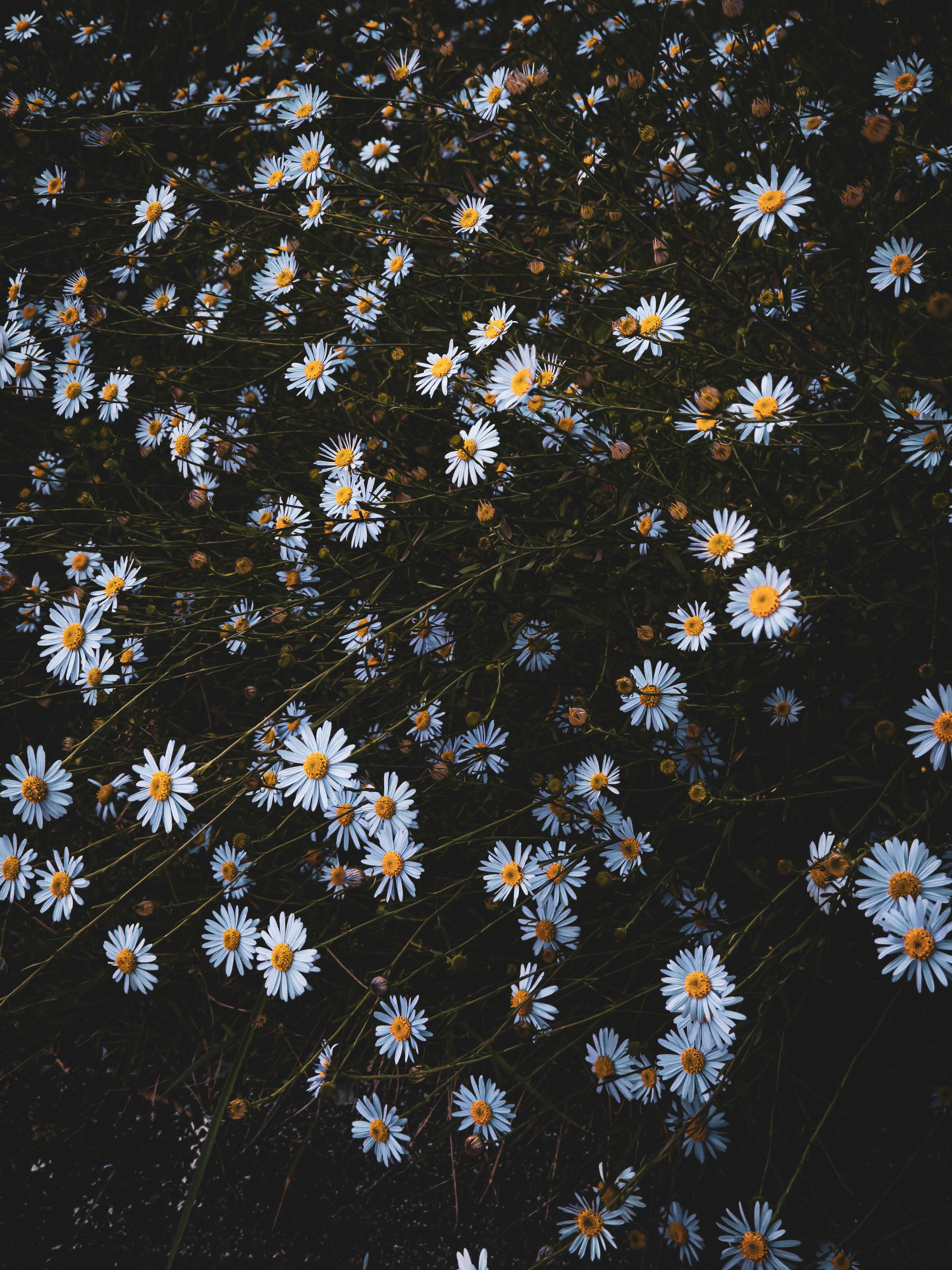 Photo by yeon01050508