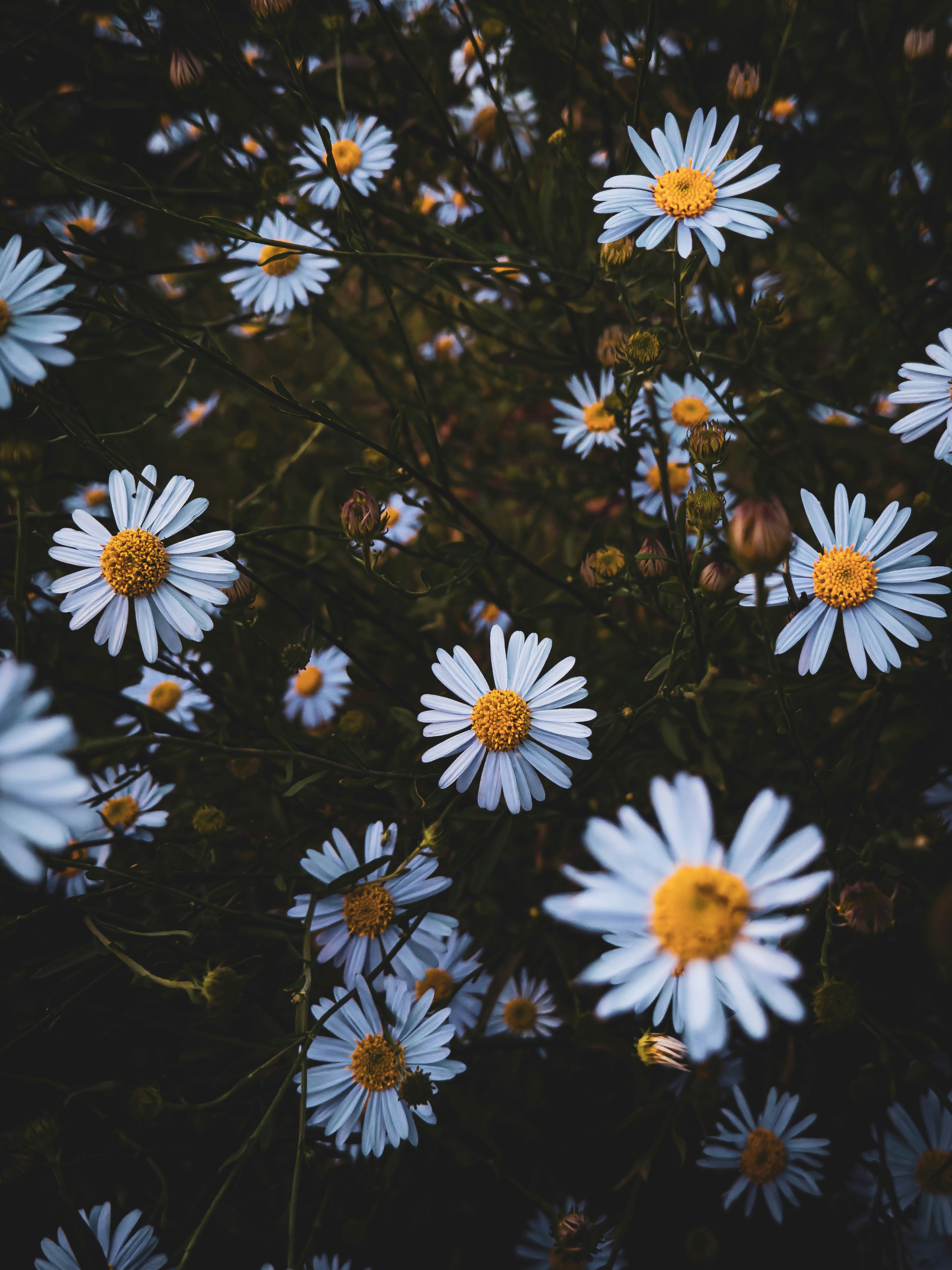 Photo by yeon01050508