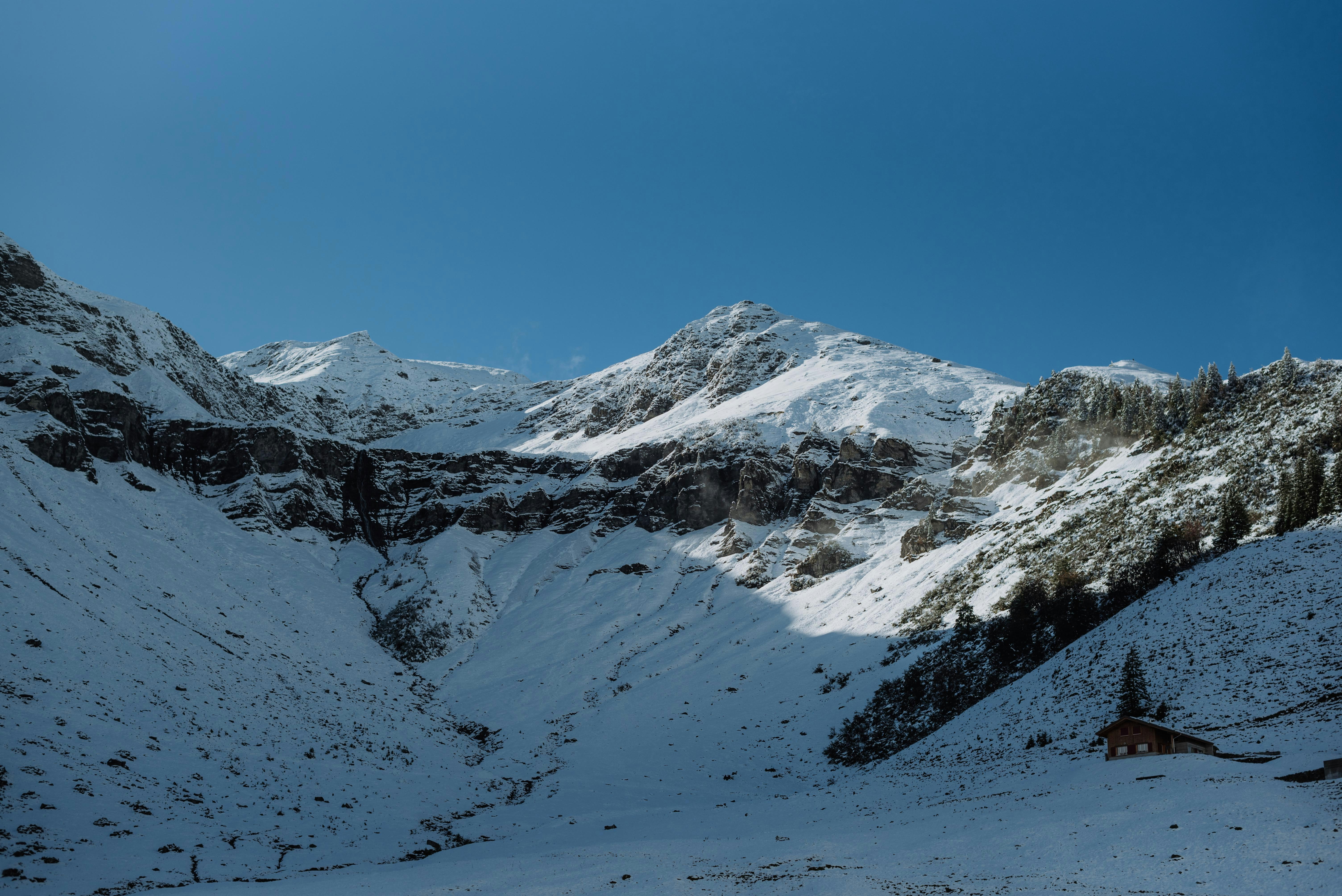 Photo by julialavendel