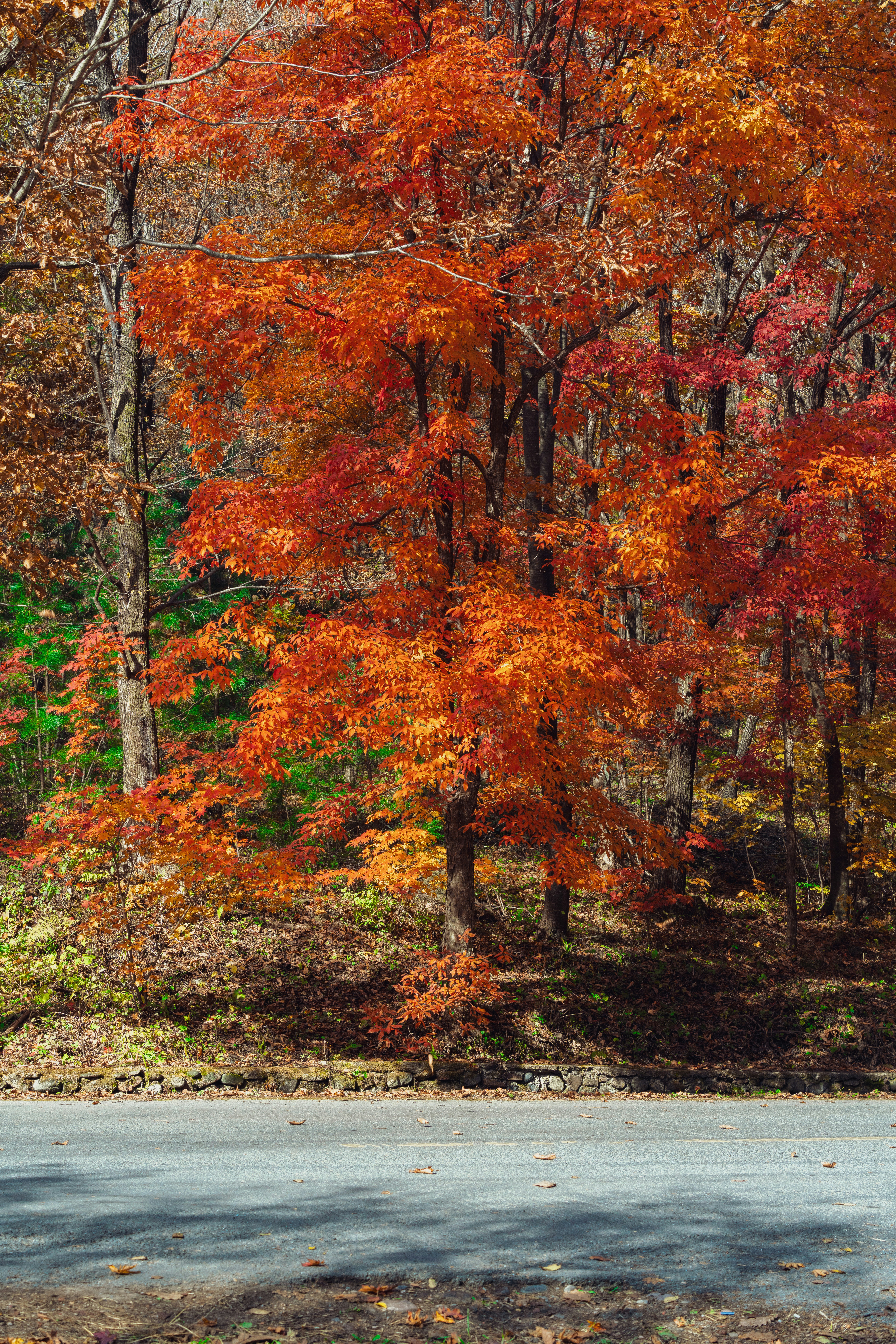 Photo by hattrick1996