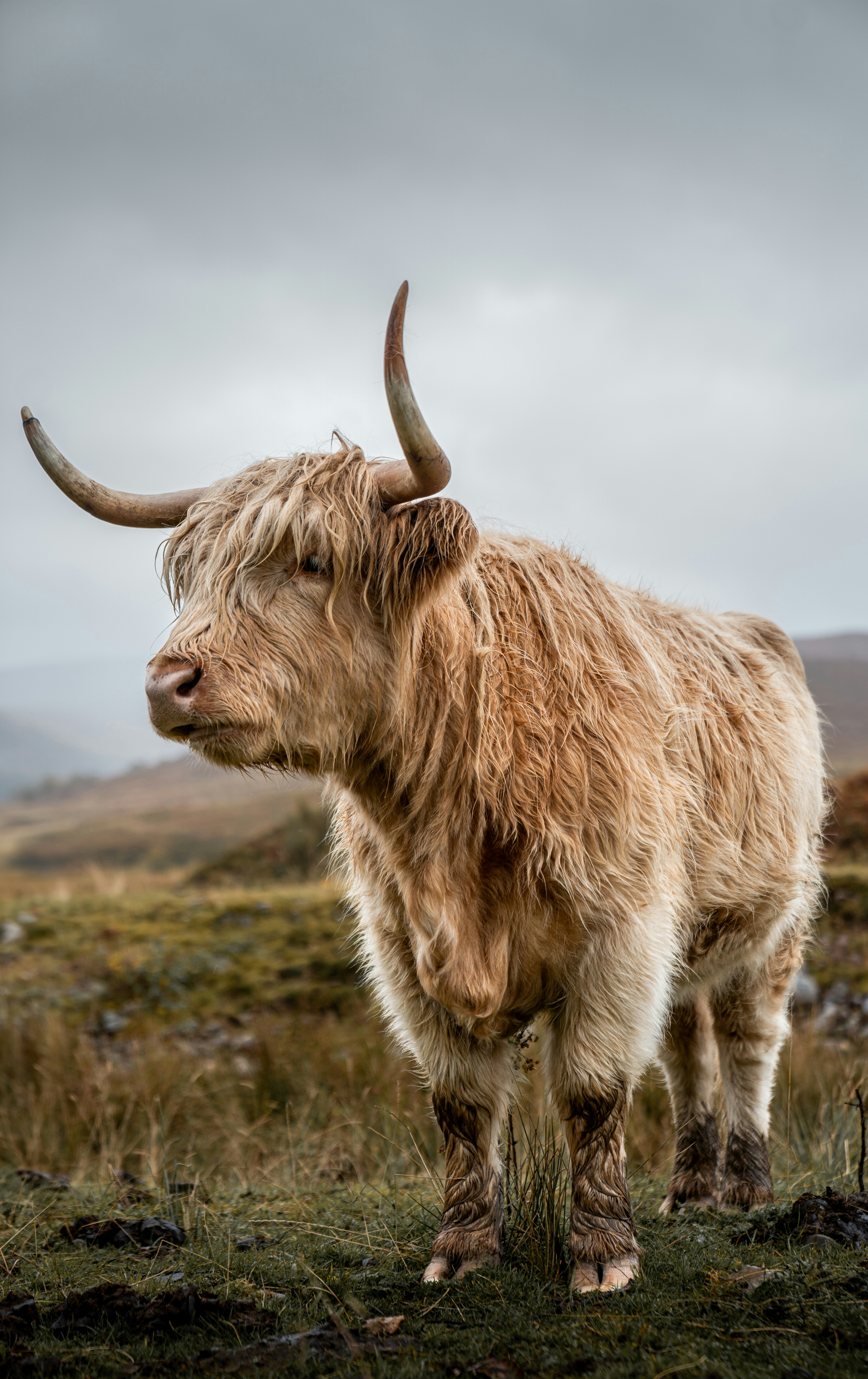 Travelling the roads and meeting friends along the way