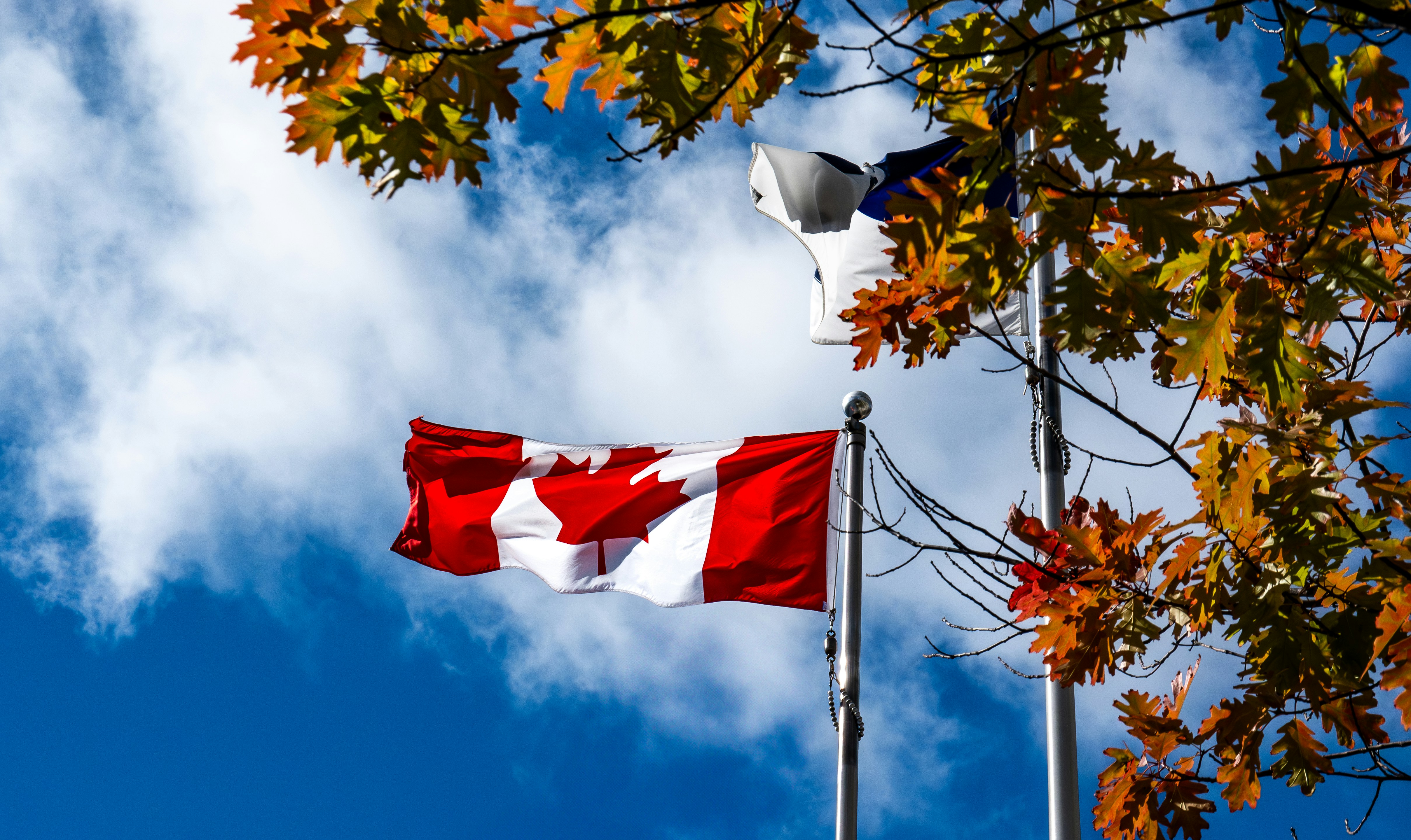 rapeau canadien flottant devant un paysage naturel.