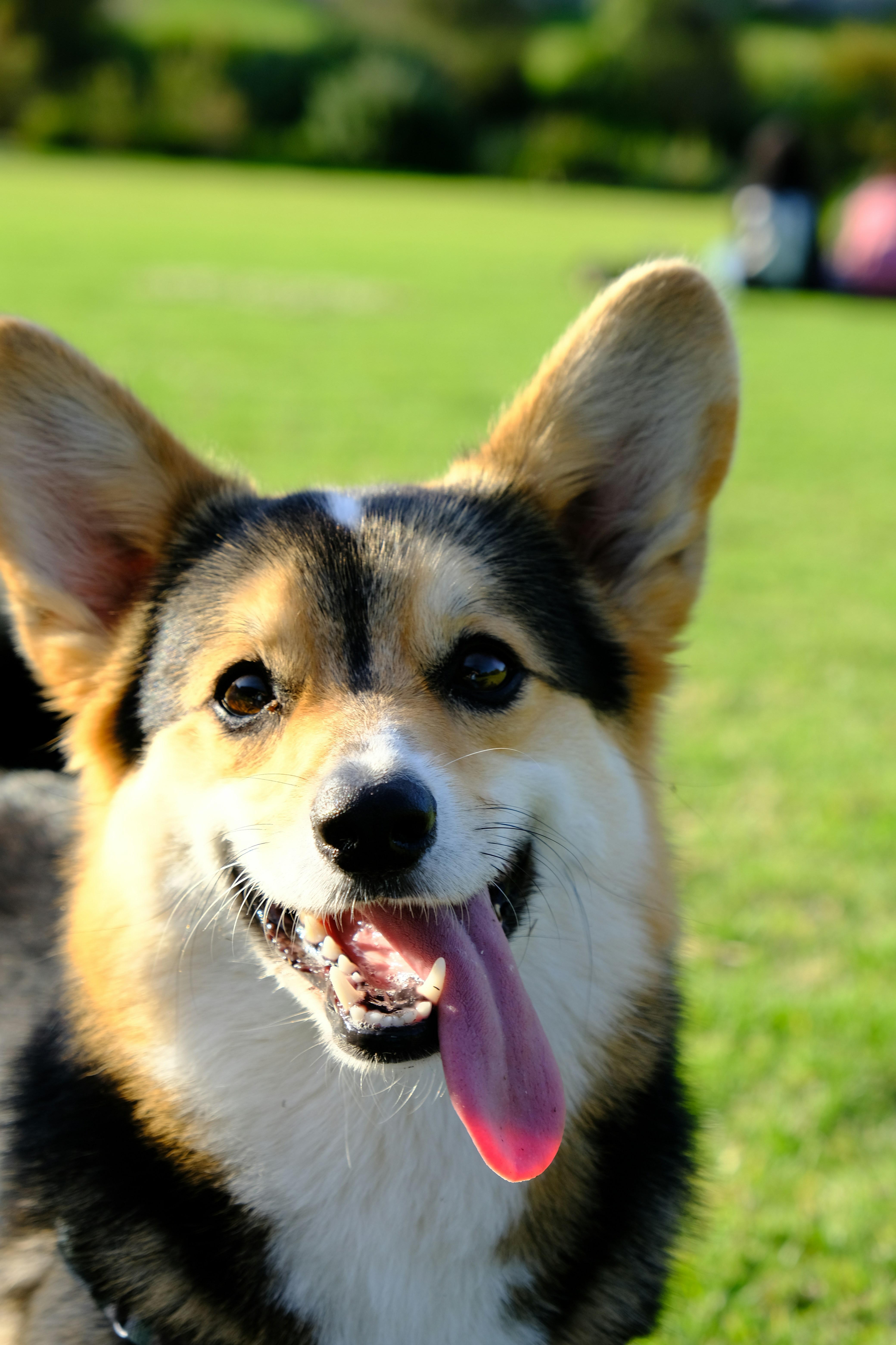 Photo by naomiliu1020