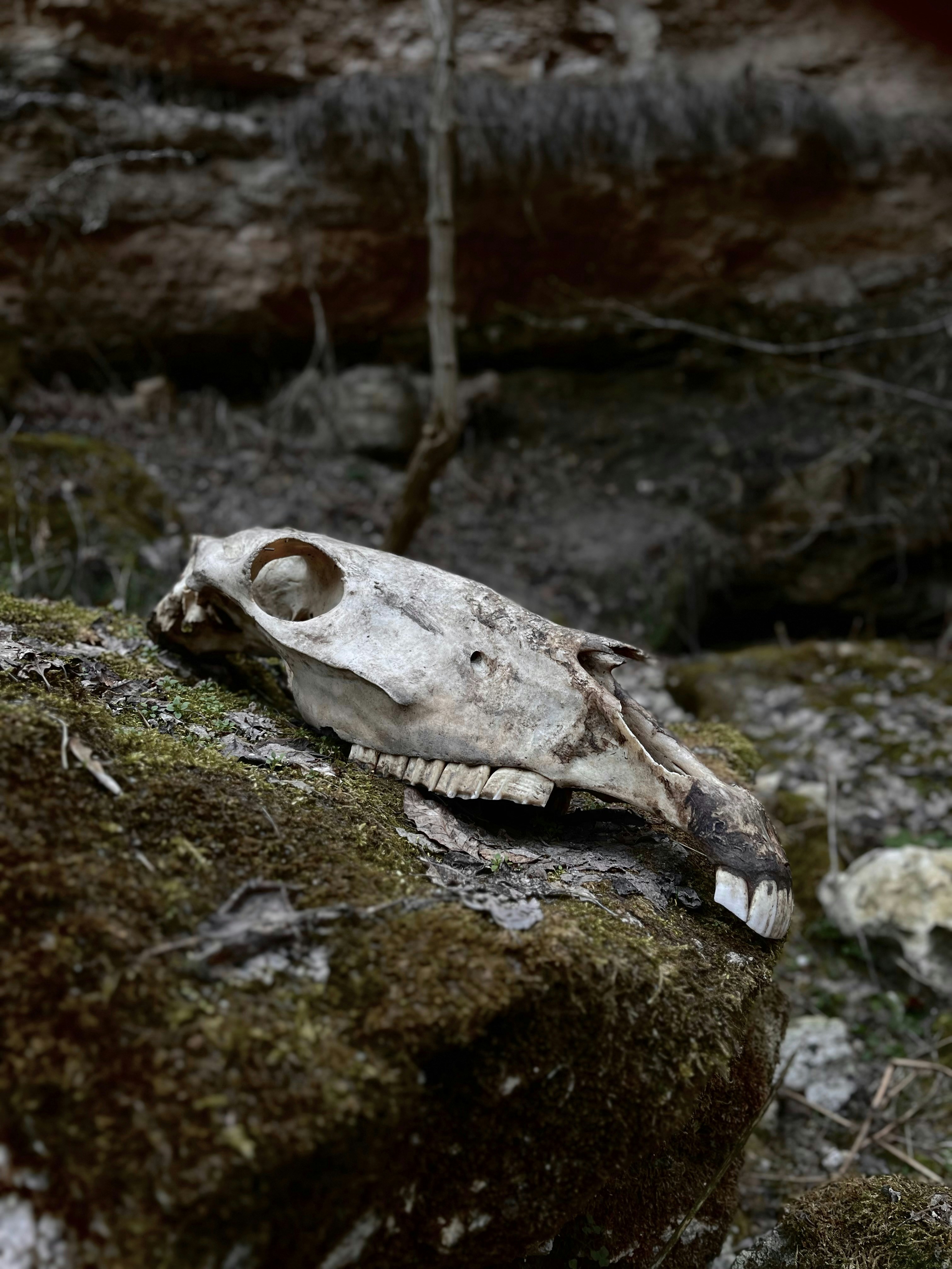 The Psychological Impact Of Avoidance