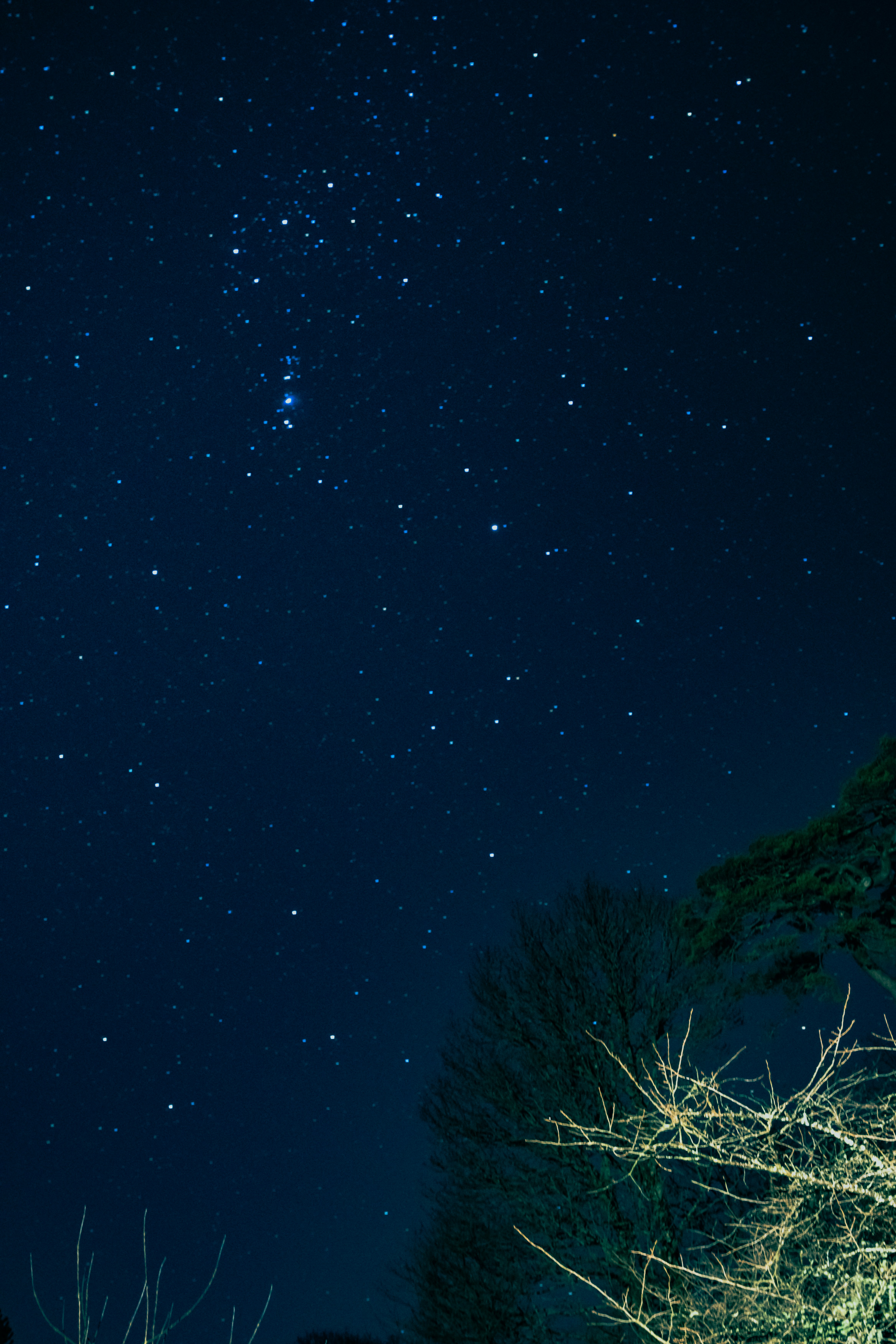 Photo by winstontjia