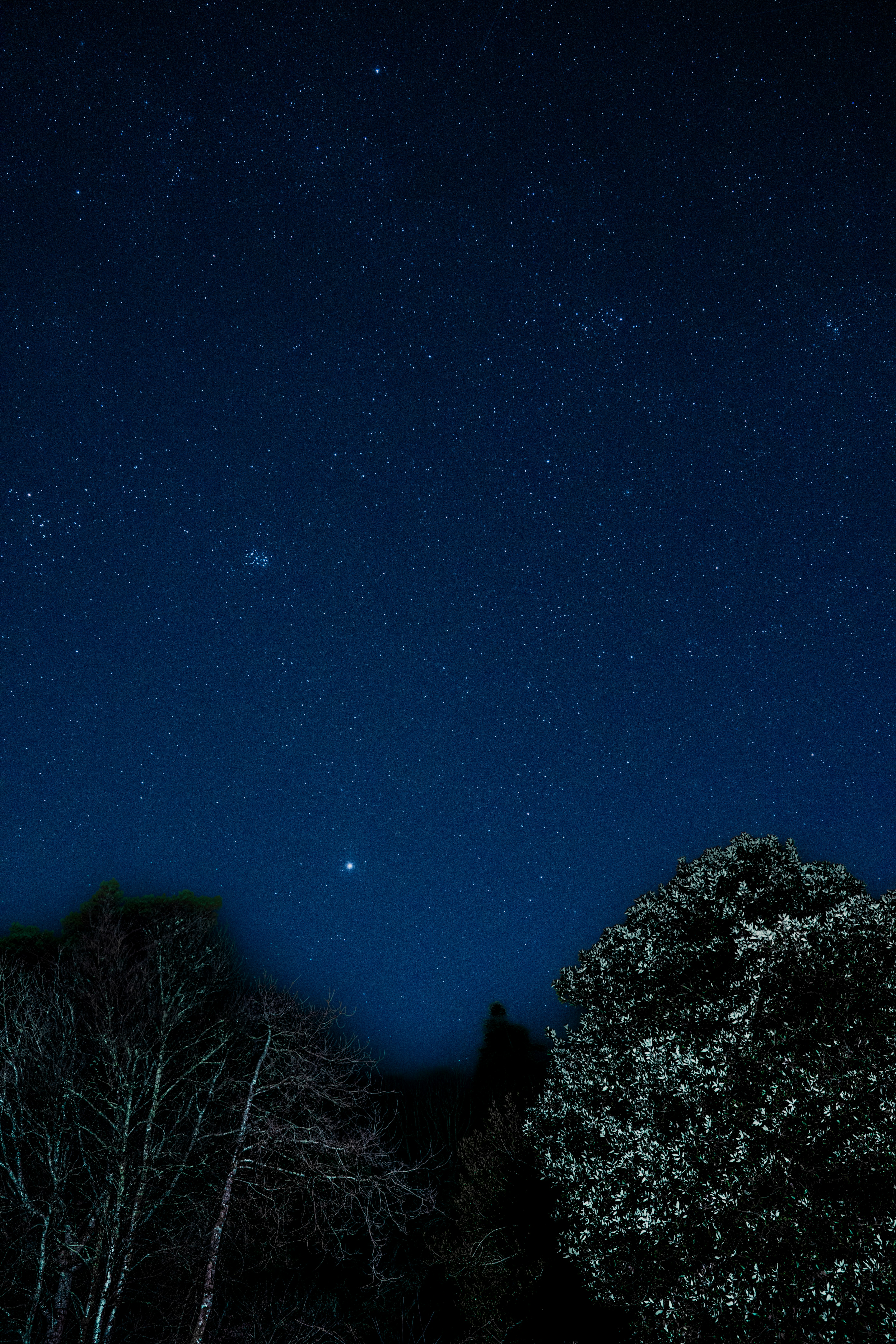 Photo by winstontjia