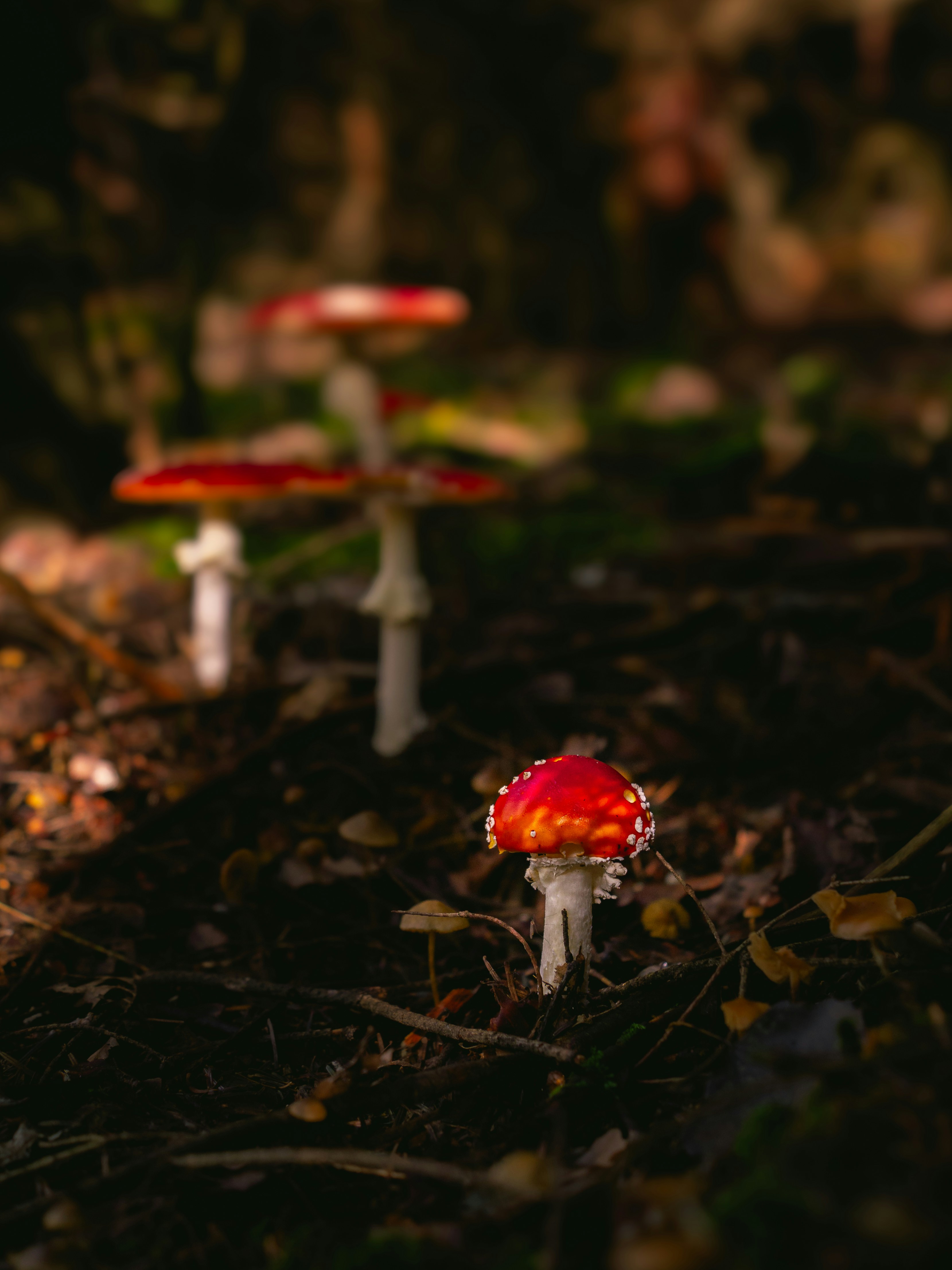 Photo by magictravel