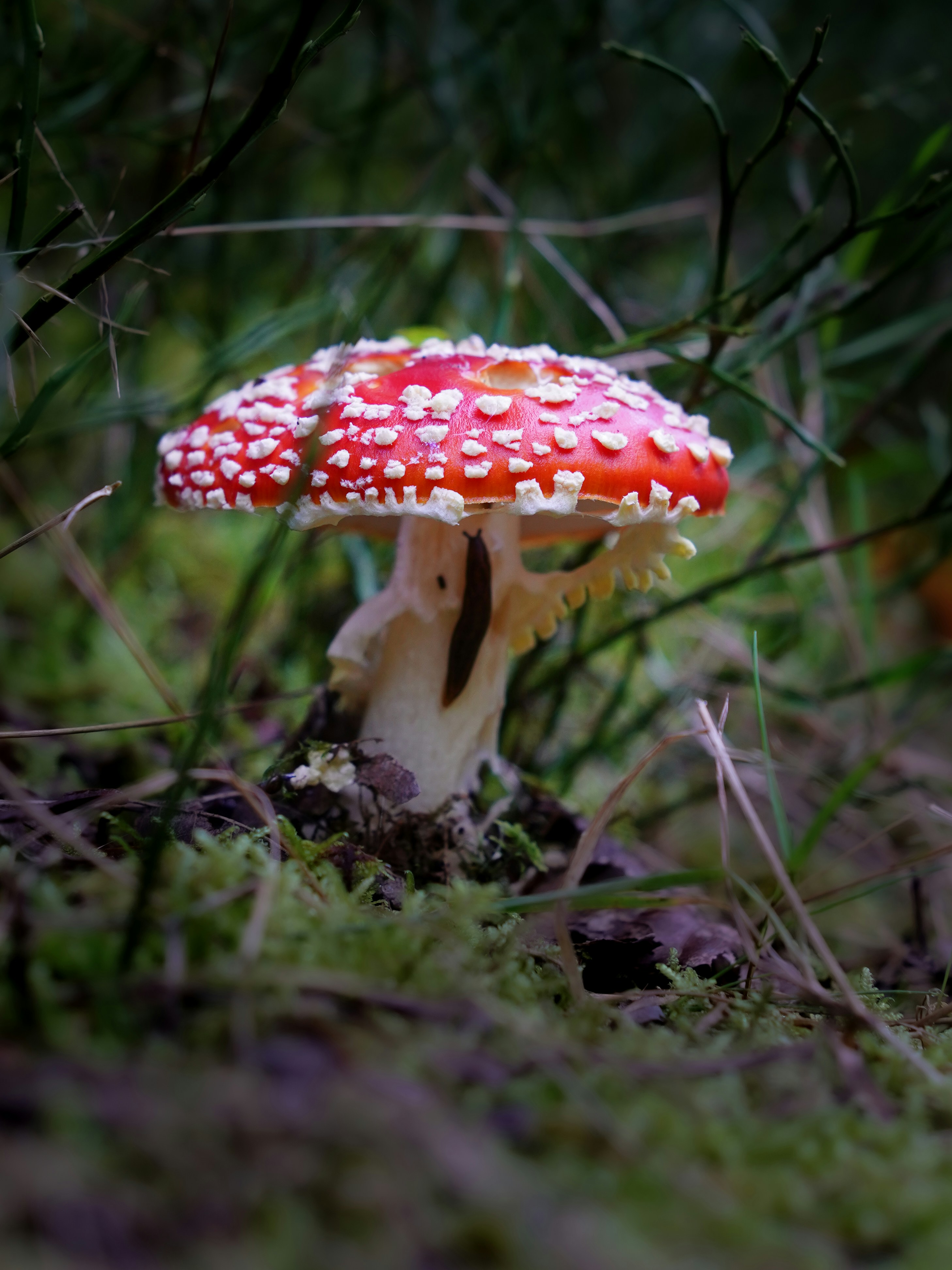 Photo by magictravel