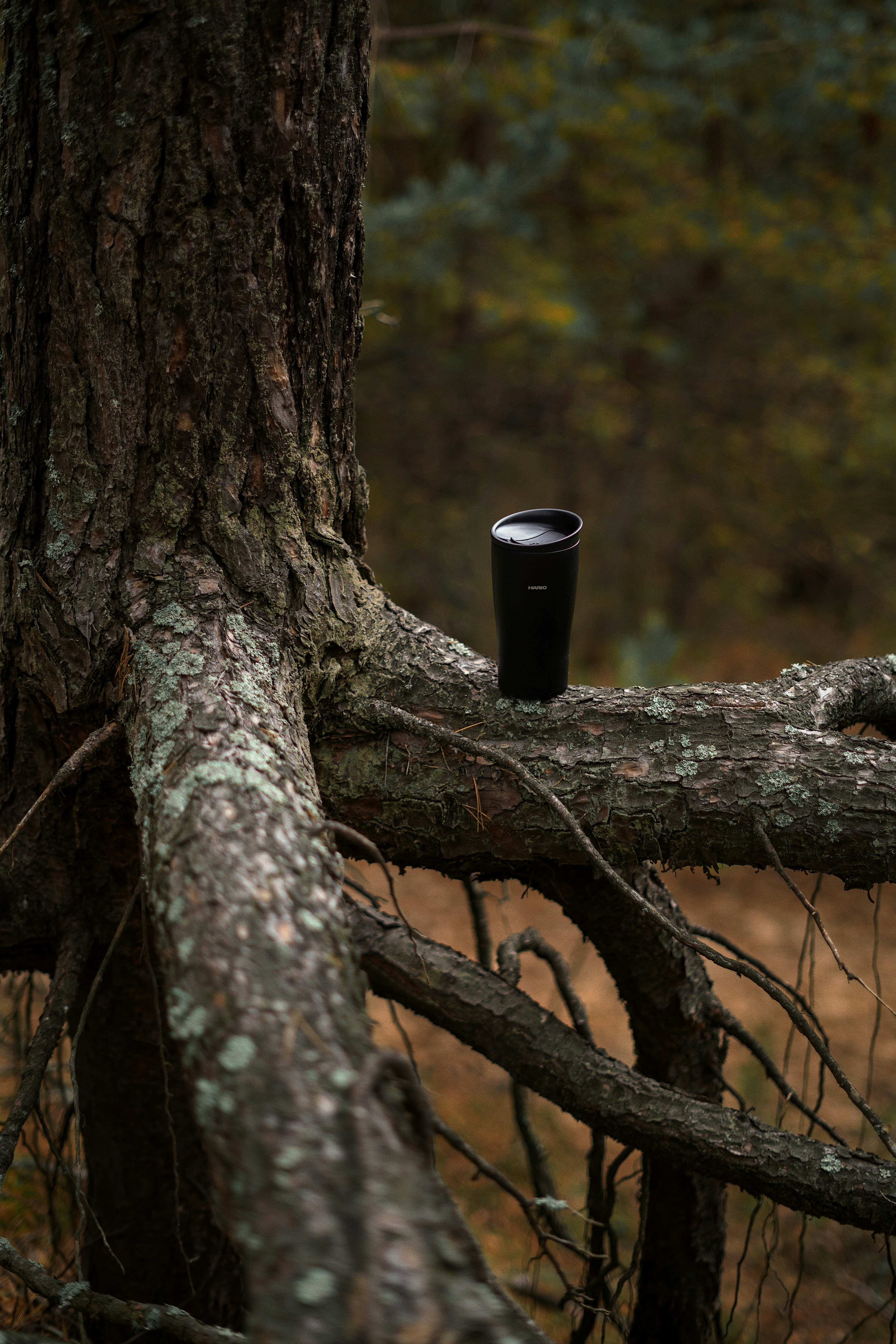 A black cup sitting on top of a tree branch