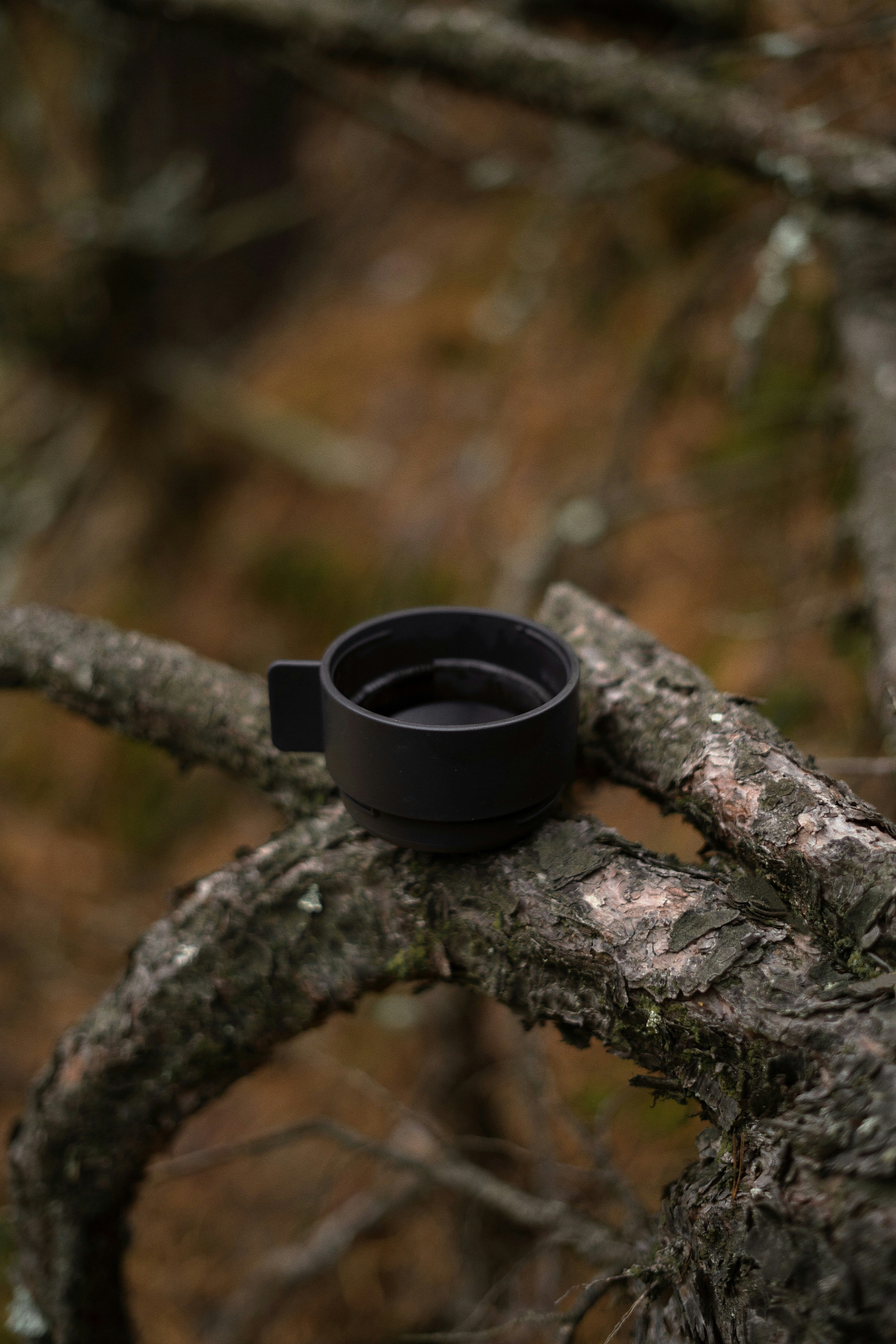 A black cup sitting on top of a tree branch