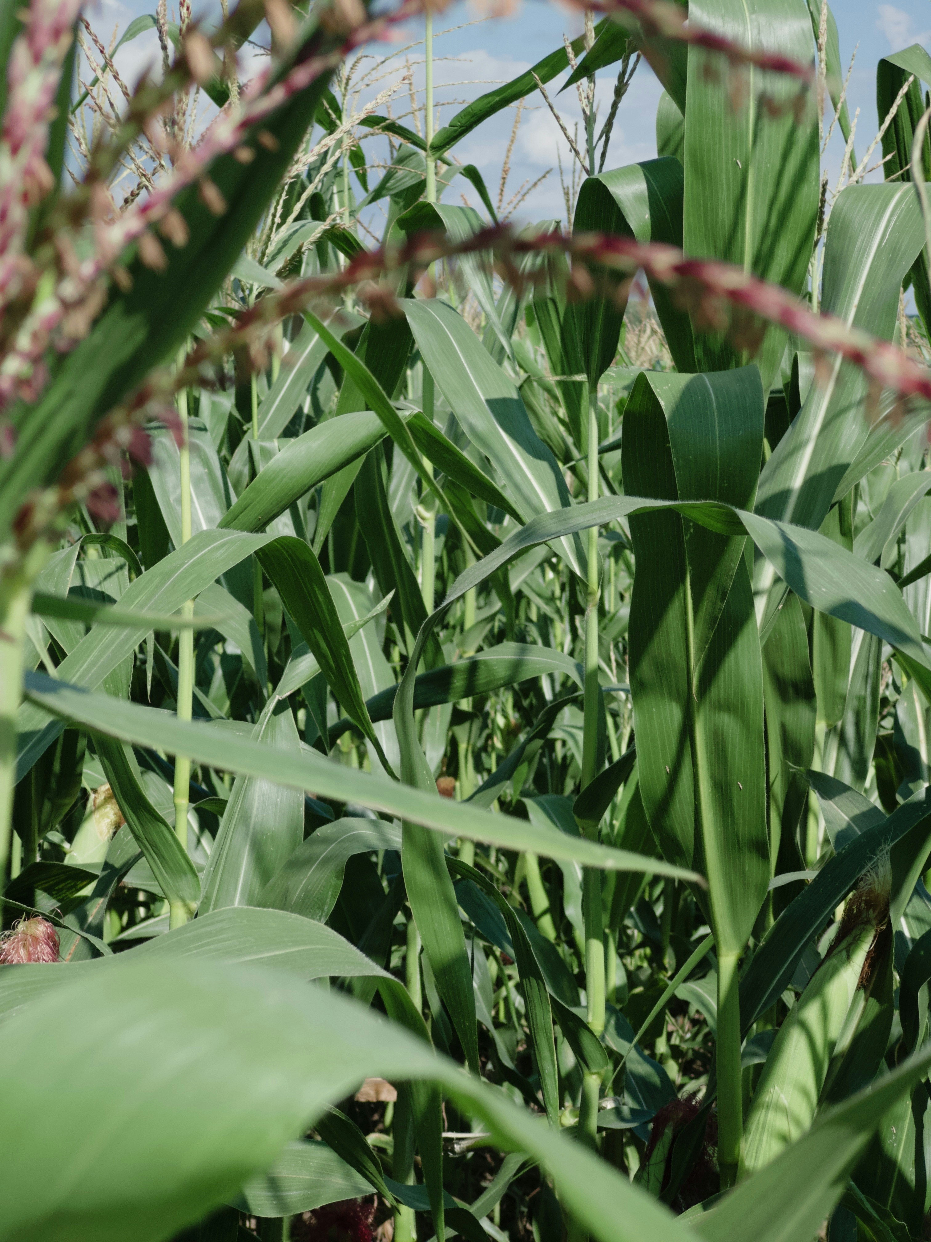 Photo by polina_twin