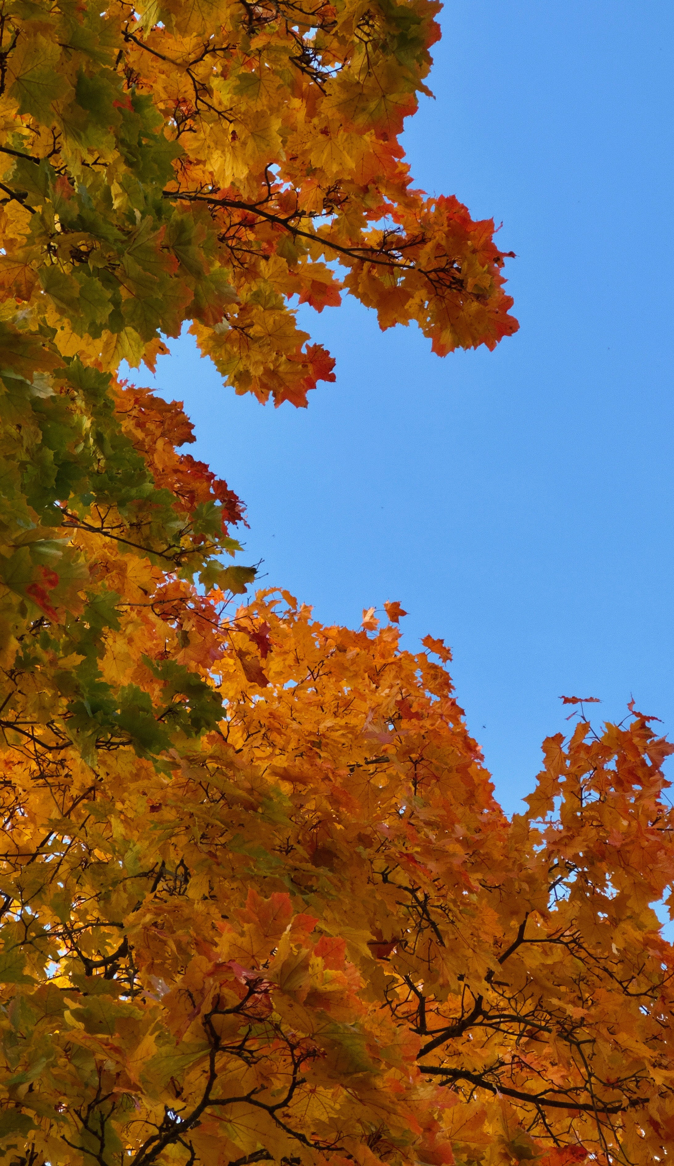 Photo by polina_twin