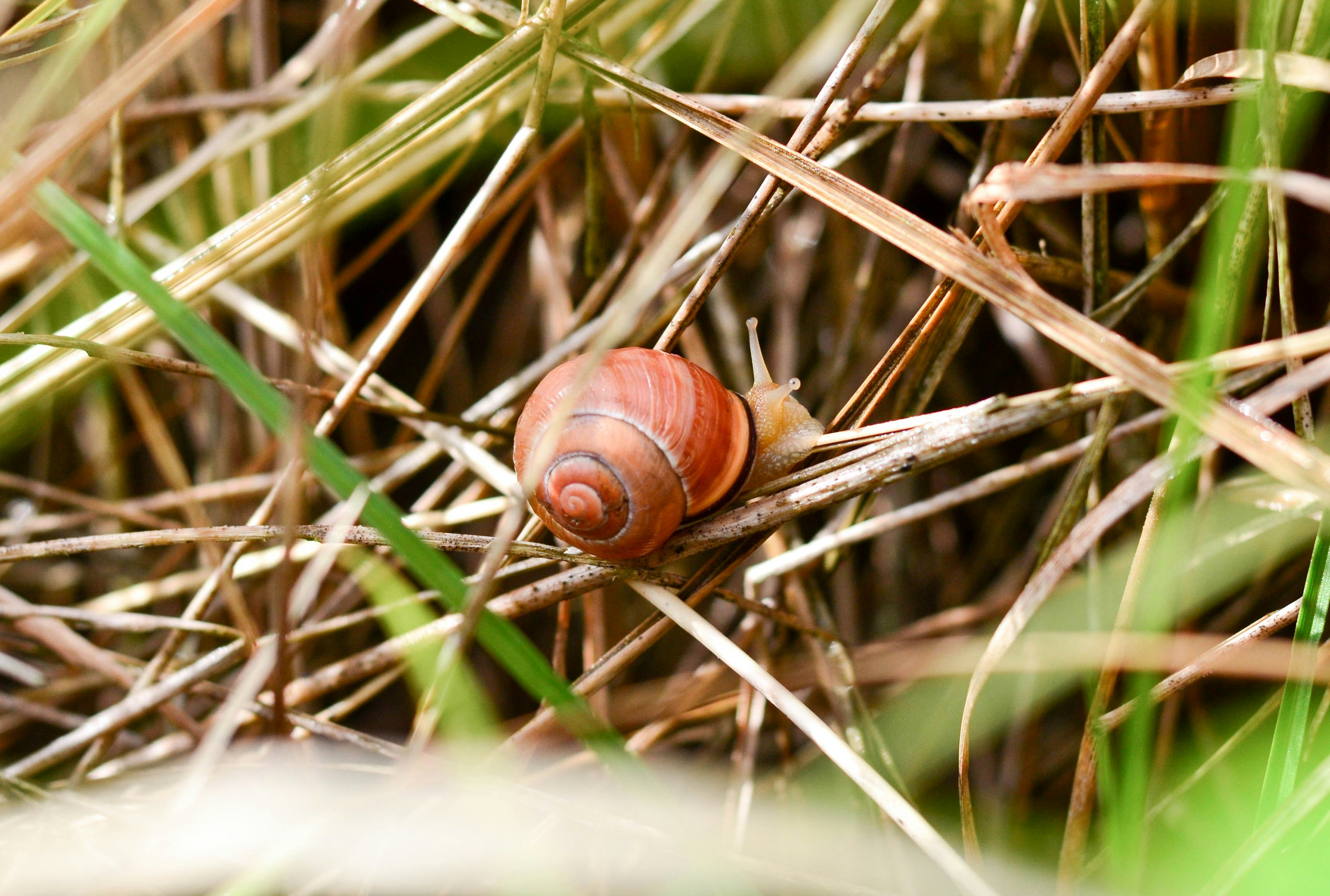 Photo by vierundzwanzig_7