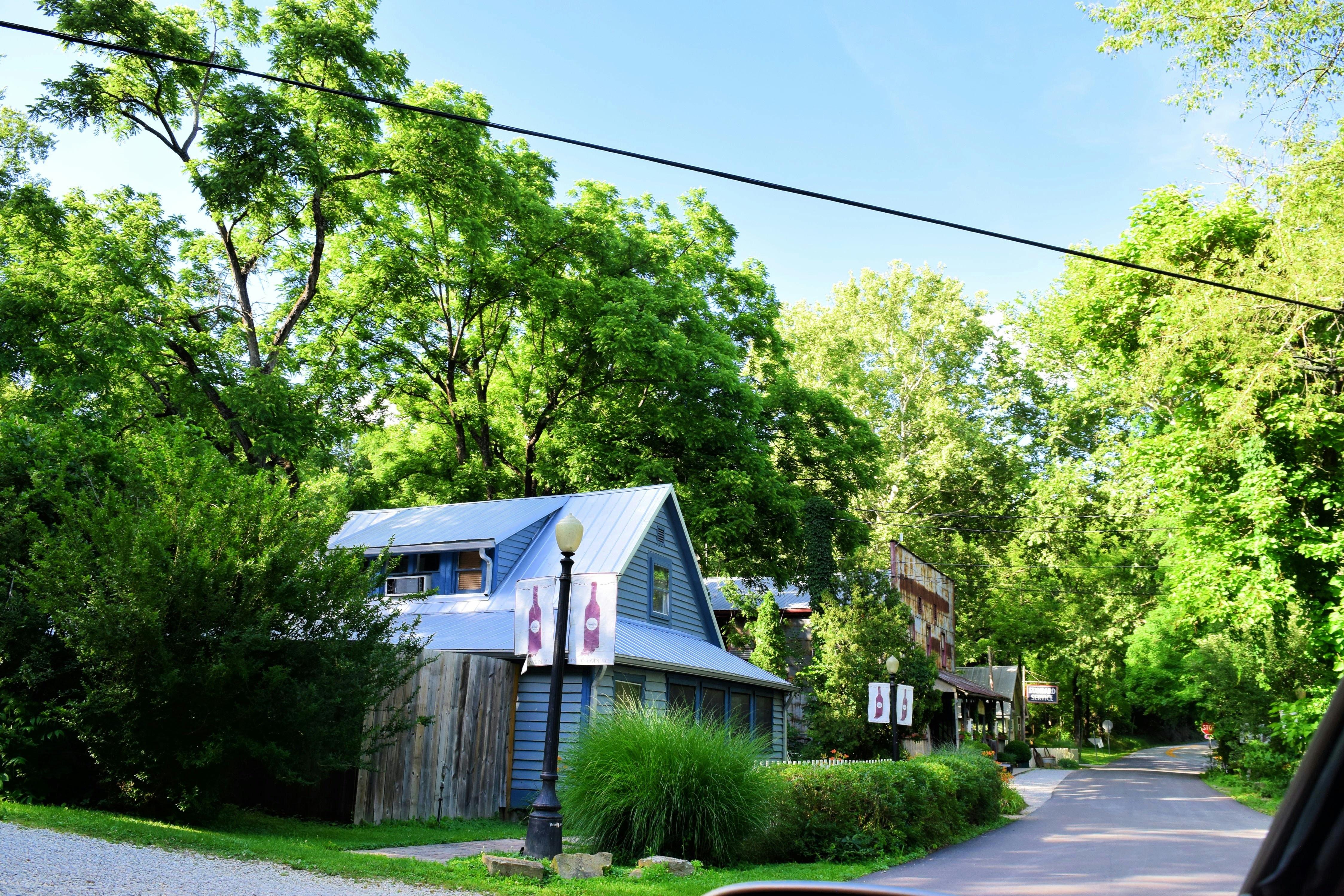 A car driving down a street next to a lush green forest
