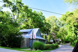 A car driving down a street next to a lush green forest